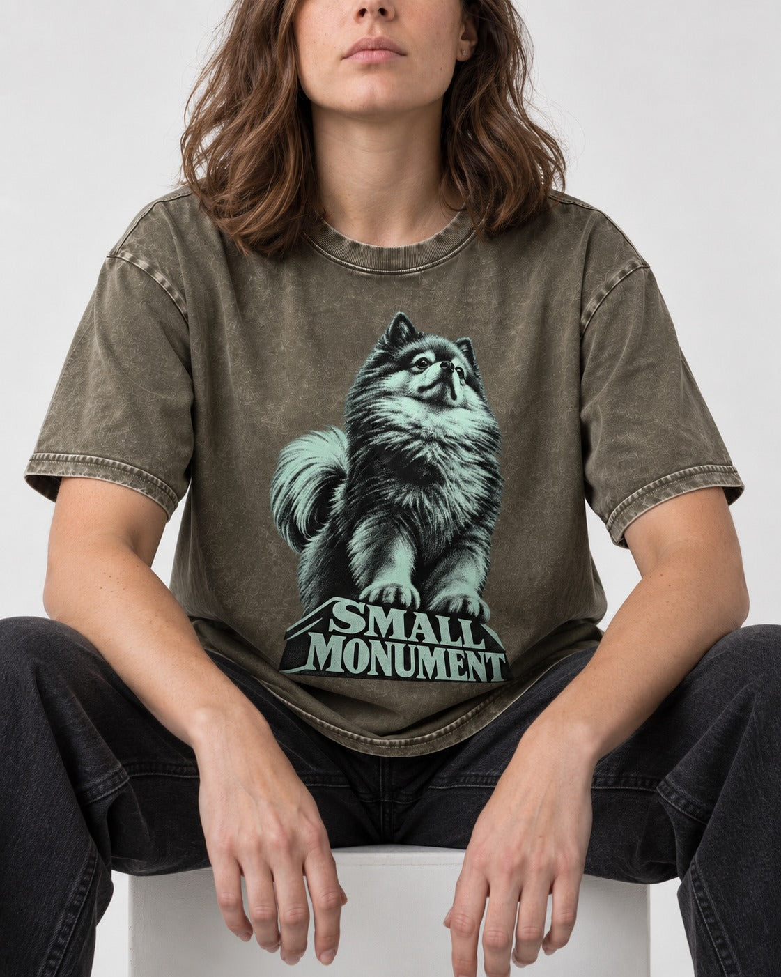 Pomeranian Small Monument Pedestal Graphic Washed Tee in Army Green, worn by a seated model
