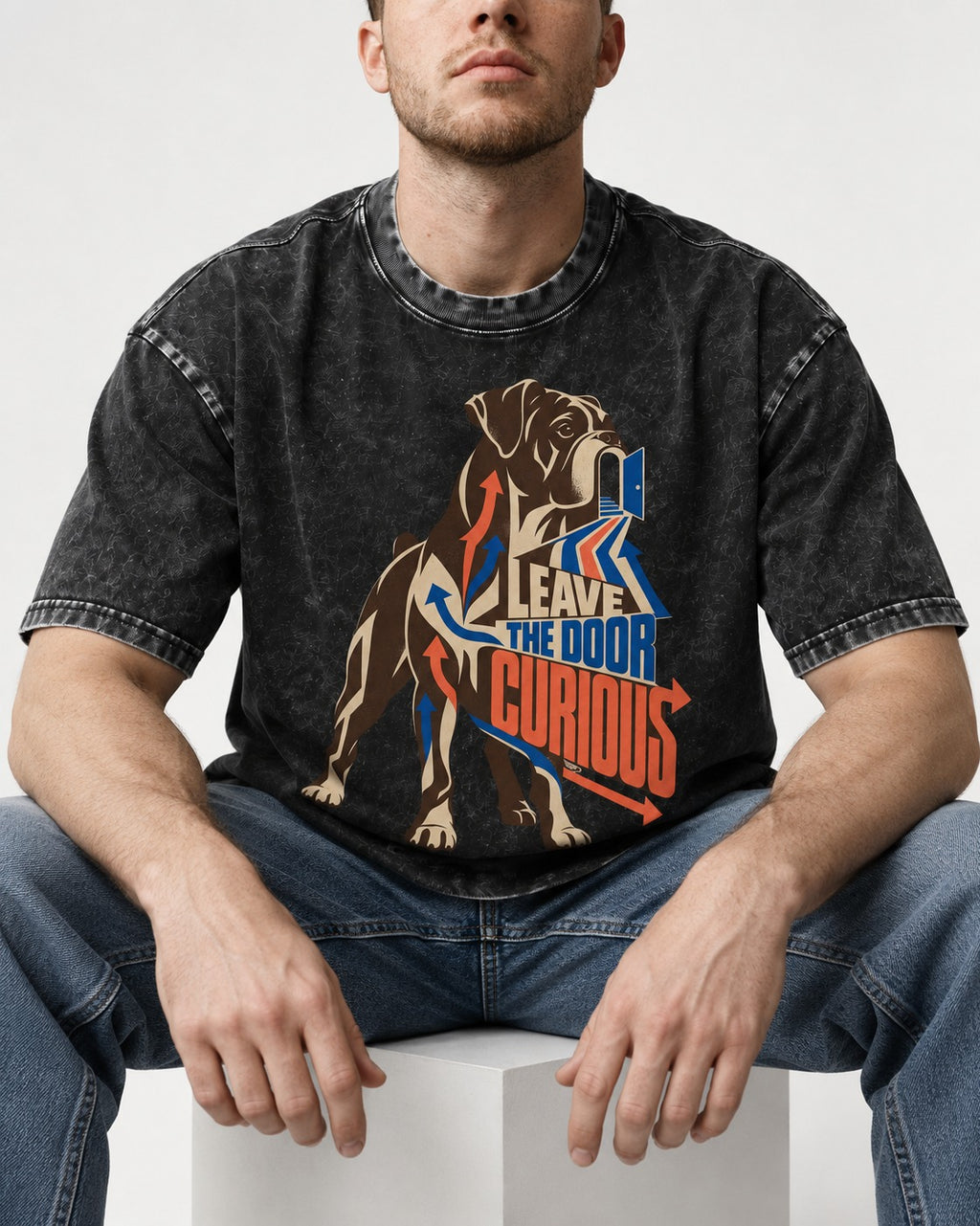 Leave the Door Curious Boxer Doorway Arrow Graphic Washed Tee in Black, worn by a seated model