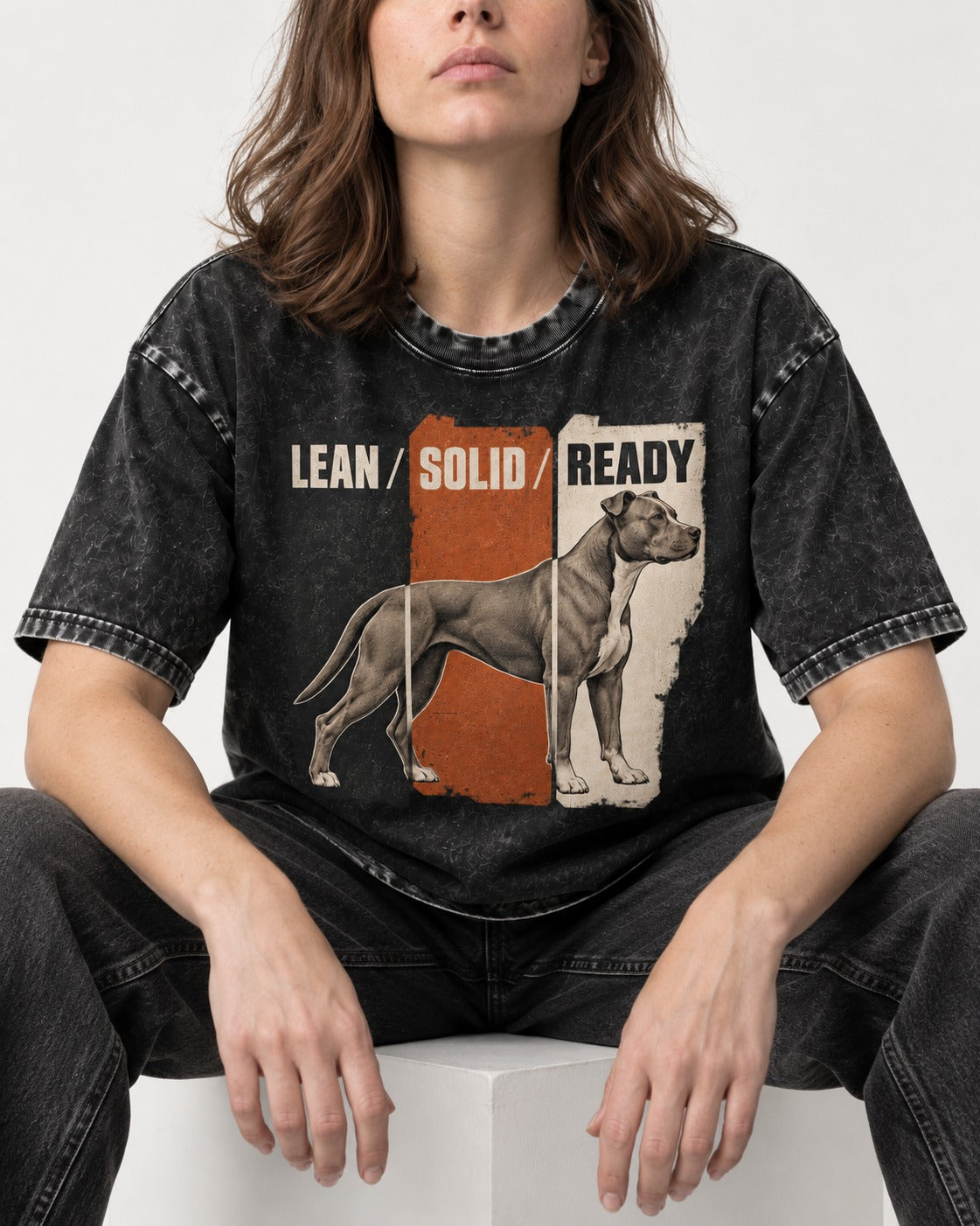 Pitbull Lean Solid Ready Triptych Graphic Washed Tee in Black, worn by a seated model
