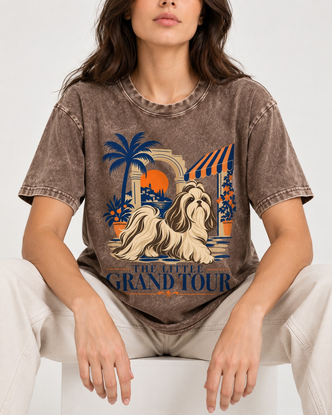 Shih Tzu The Little Grand Tour Mediterranean Courtyard Graphic Washed Tee in Coffee, worn by a seated model