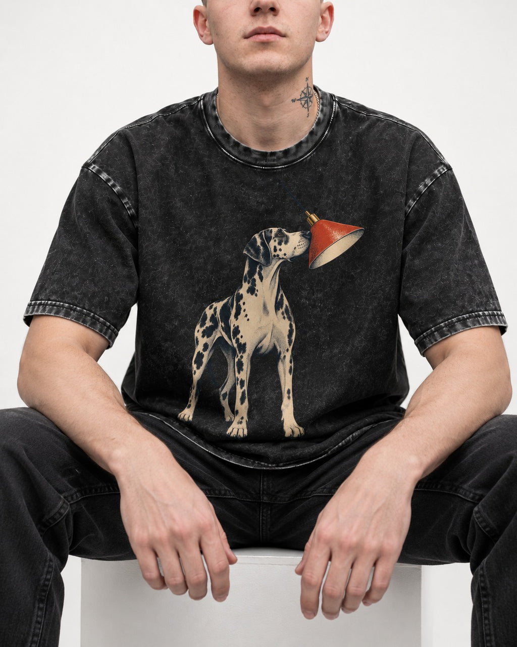 Great Dane Inspecting Hanging Lamp Graphic Washed Tee in Black, worn by a seated model