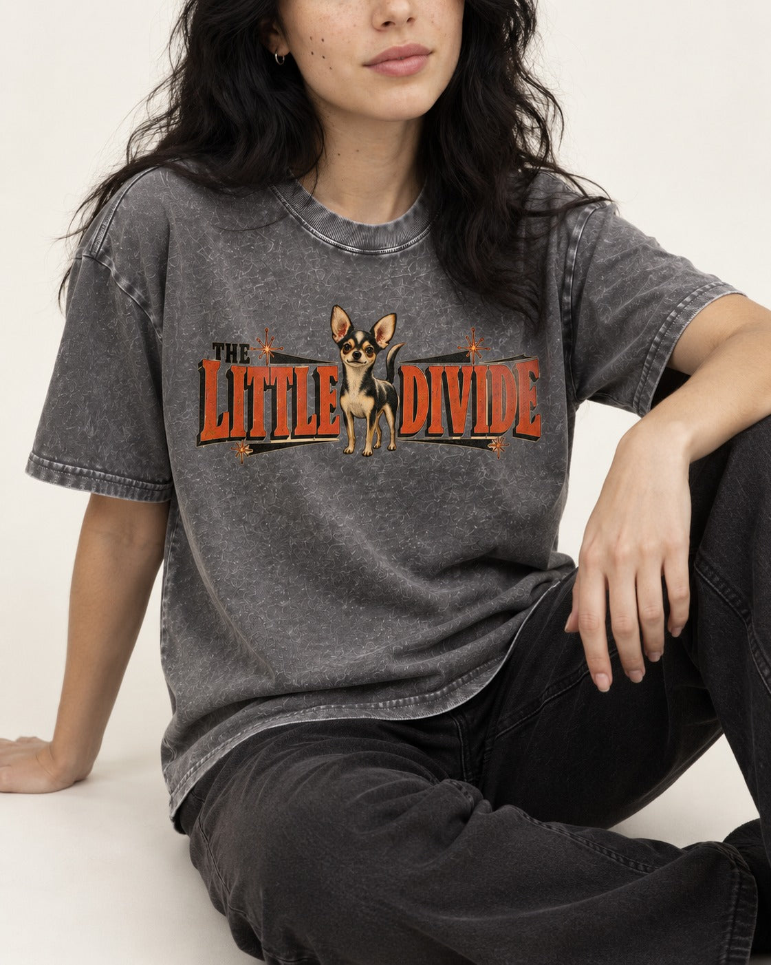 Chihuahua The Little Divide Retro Sign Graphic Washed Tee in Gray, worn by a seated model
