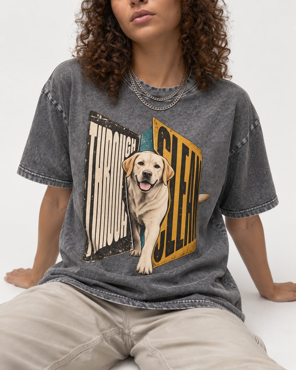 Labrador Retriever Through Steel Split Sign Graphic Washed Tee in Gray, worn by a seated model