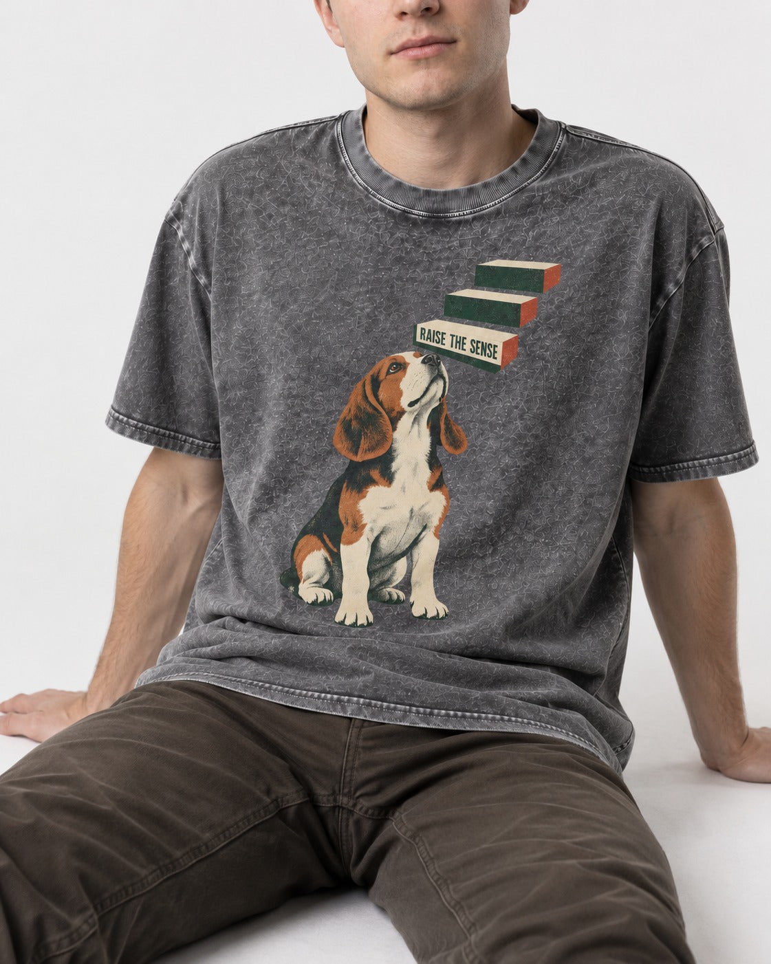 Raise The Sense Beagle Scent Hound Washed Tee in Gray, worn by a seated model