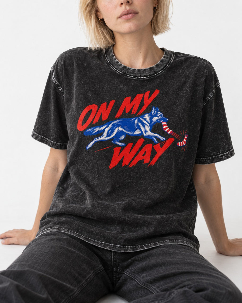 German Shepherd Dog On My Way Sock Chase Graphic Washed Tee in Black, worn by a seated model