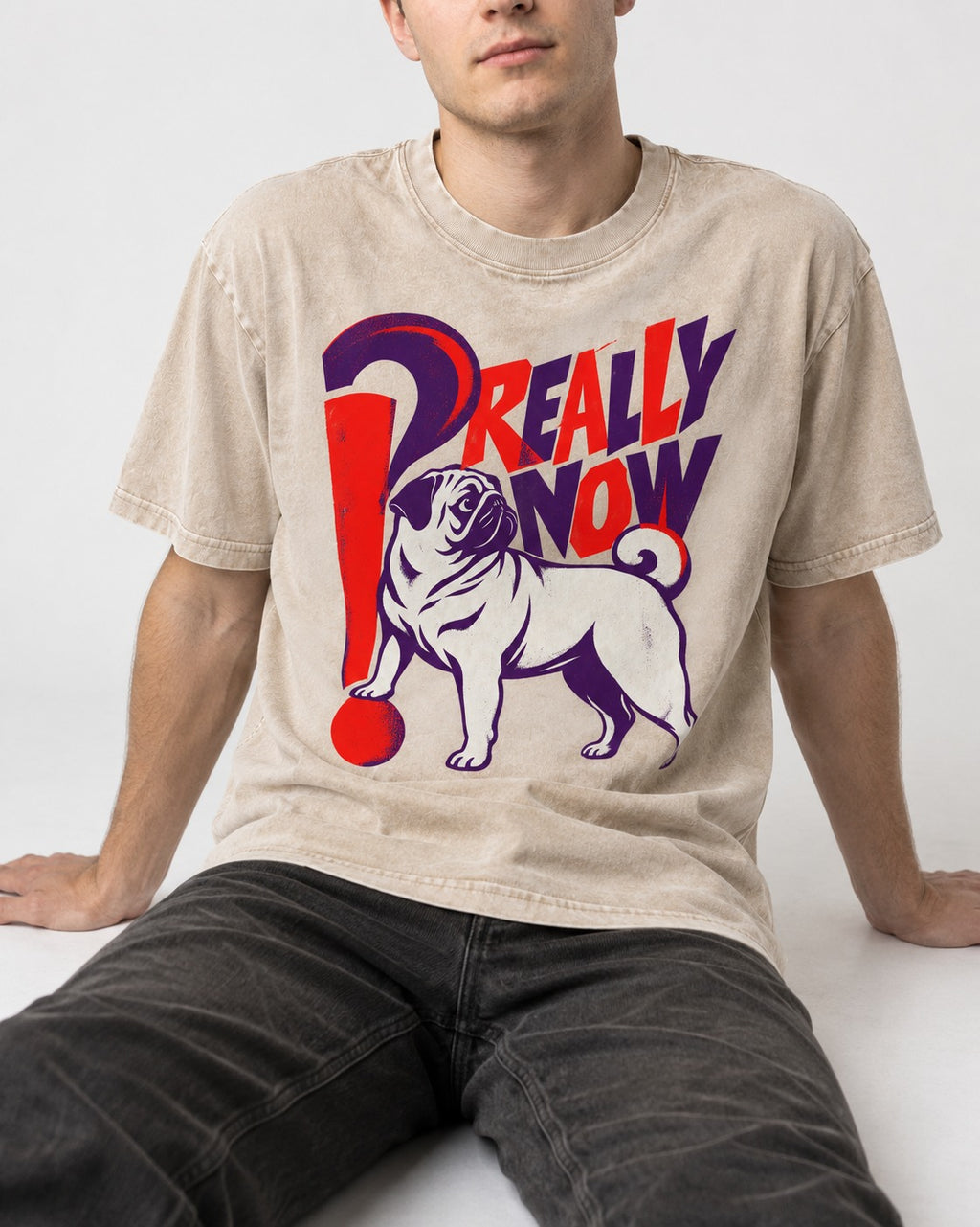 Really Now Pug Washed Tee in Apricot, worn by a seated model