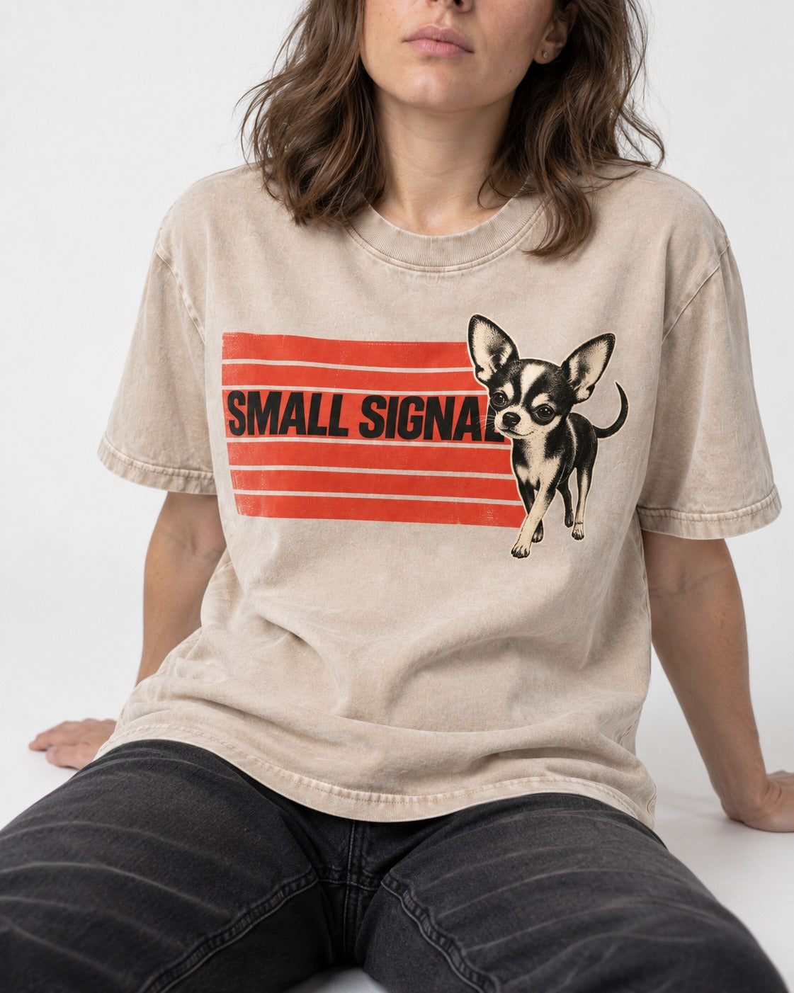 Small Signal Chihuahua Washed Tee in Apricot, worn by a seated model