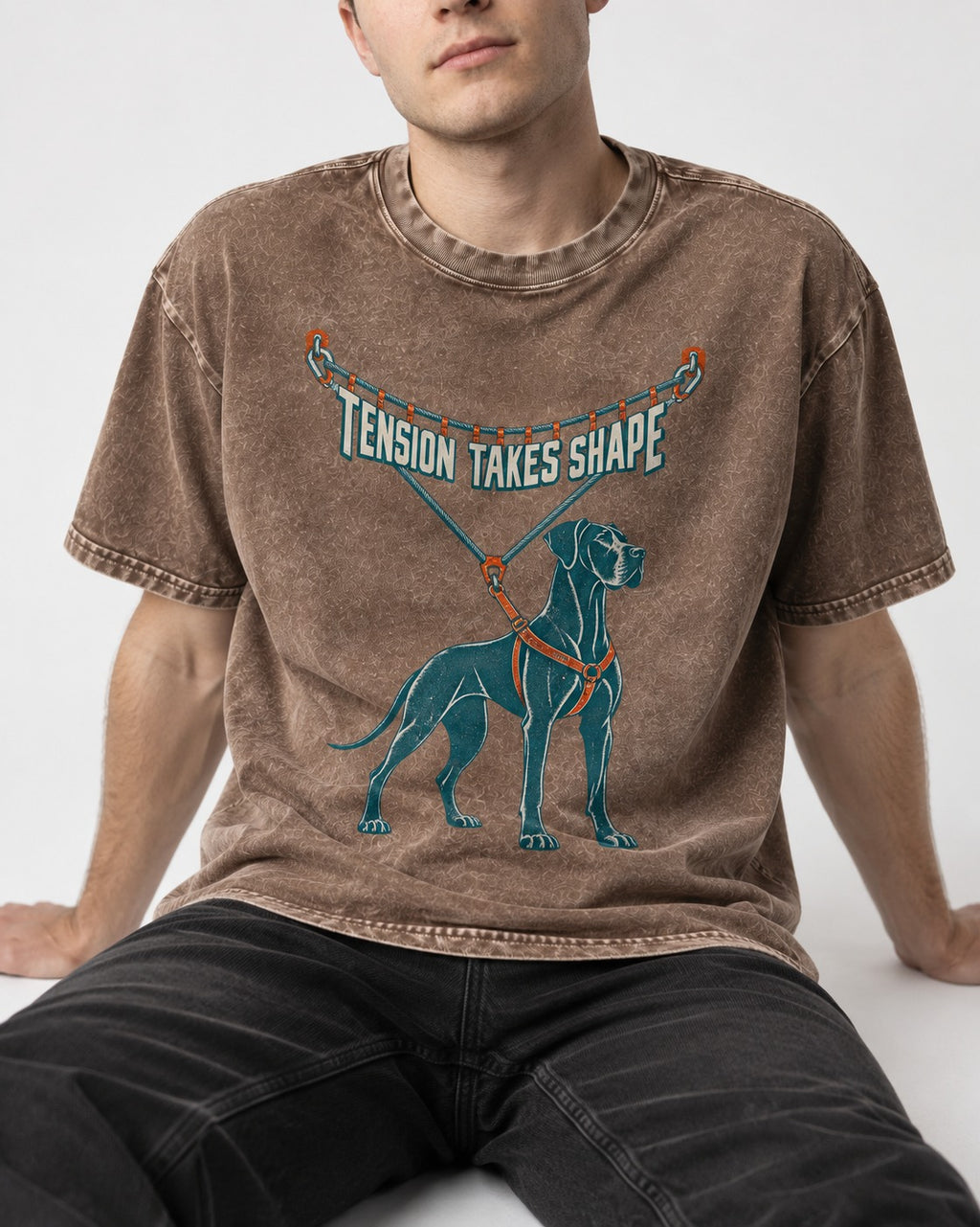 Great Dane Tension Takes Shape Washed Tee in Coffee, worn by a seated model