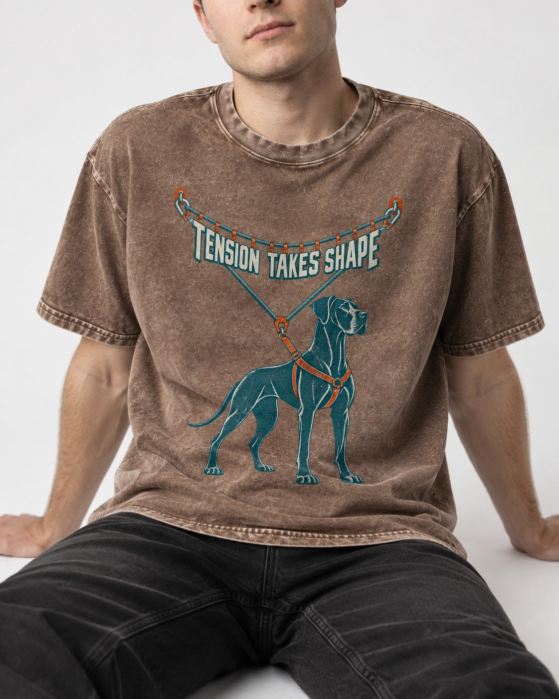 Great Dane Tension Takes Shape Washed Tee in Coffee, worn by a seated model