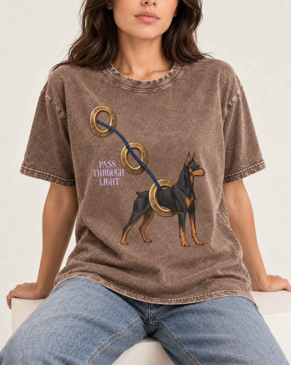 Doberman Pass Through Light Ring Graphic Washed Tee in Coffee, worn by a seated model
