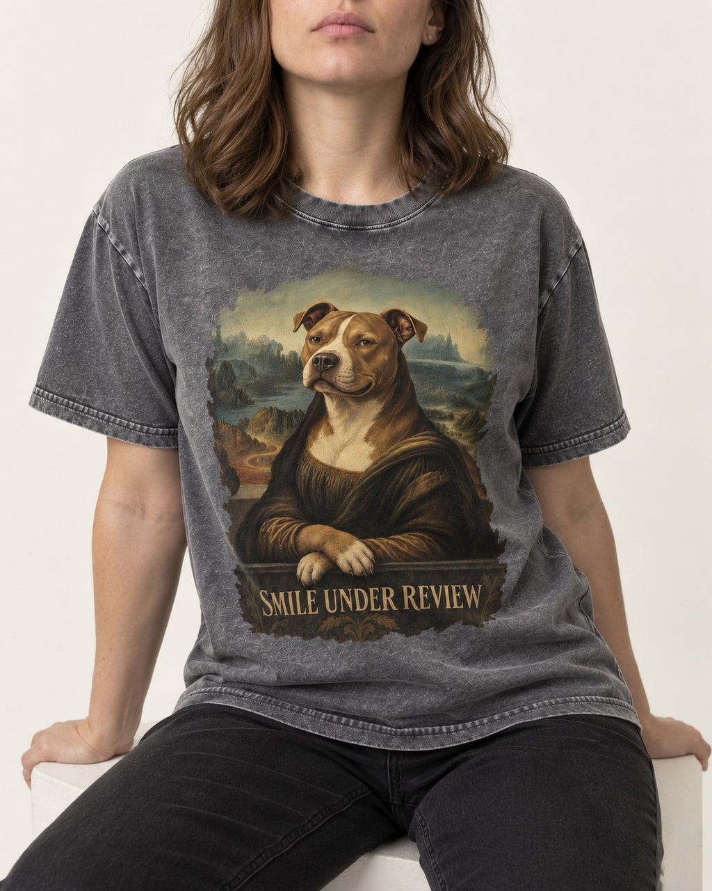 Pitbull Smile Under Review Renaissance Portrait Graphic Washed Tee in Gray, worn by a seated model