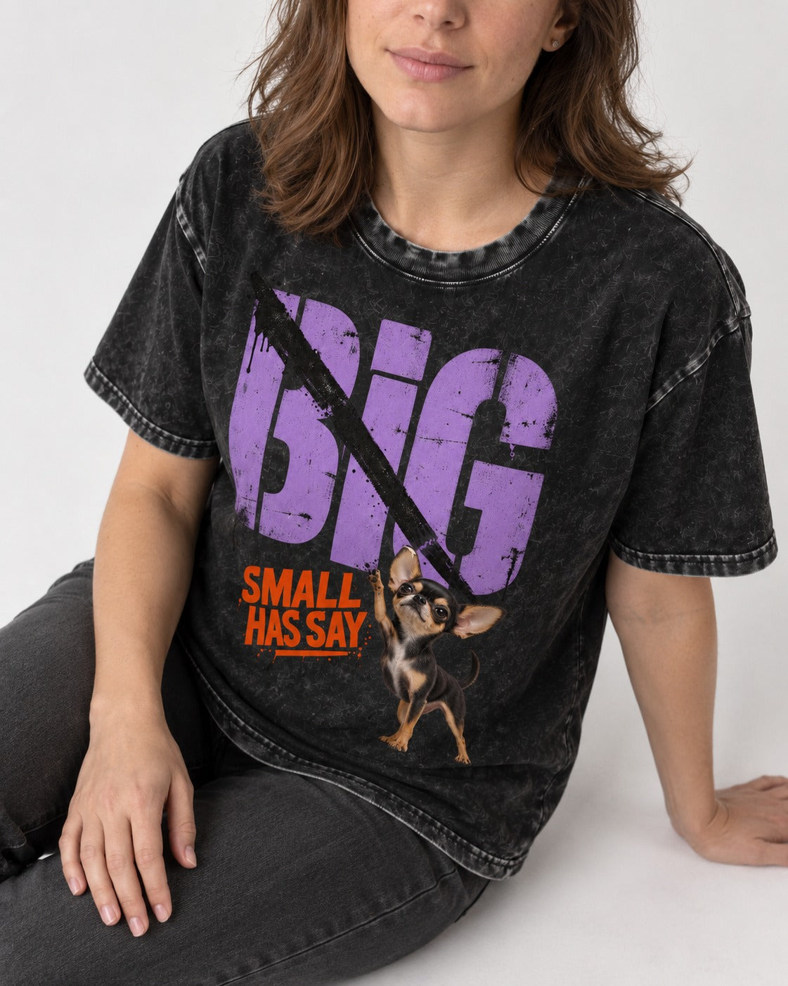 Chihuahua Big Small Has Say Diagonal Slash Graphic Washed Tee in Black, worn by a seated model