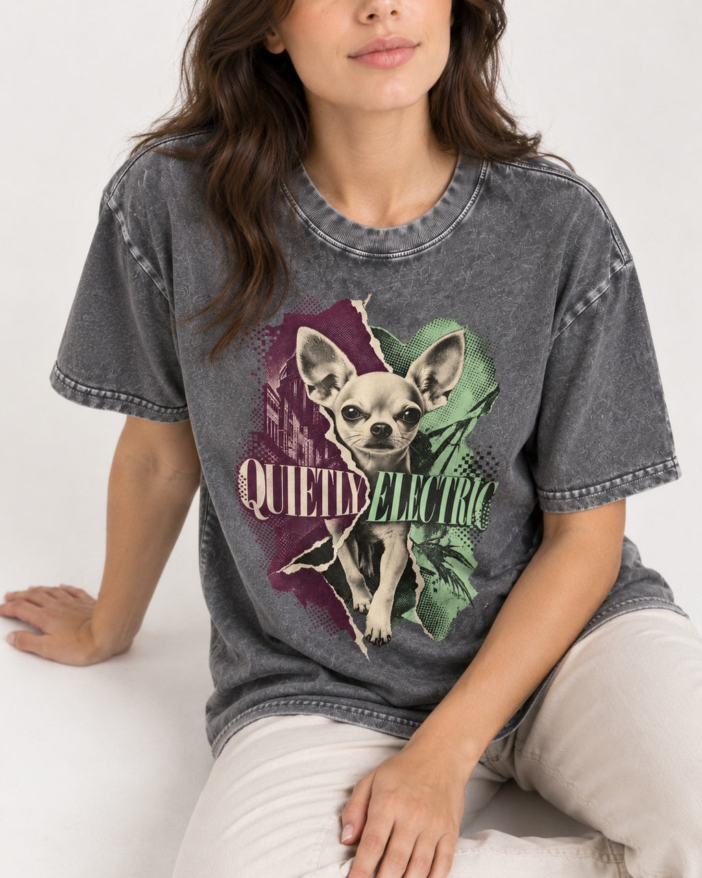 Chihuahua Quietly Electric Washed Tee in Gray, worn by a seated model
