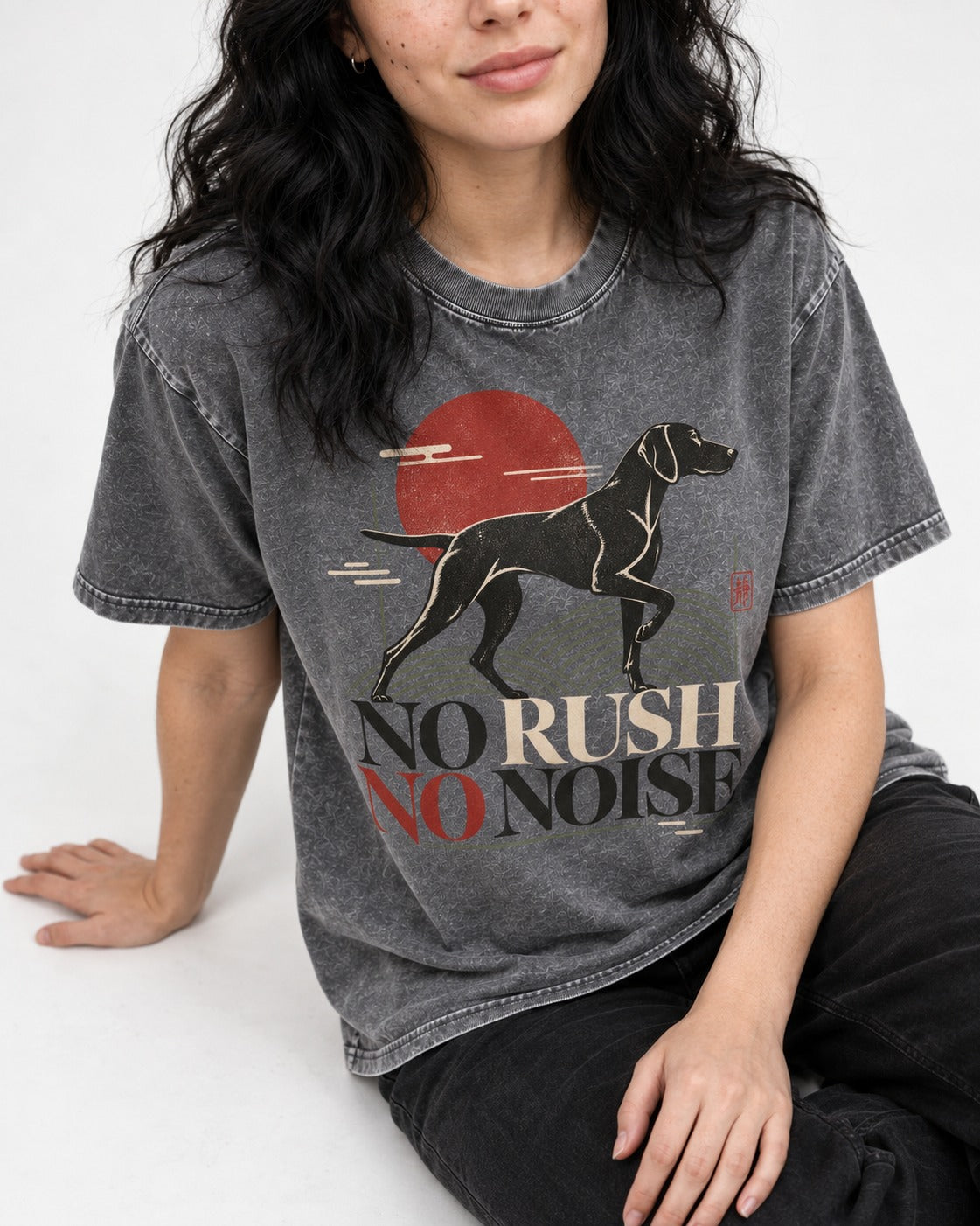 German Shorthaired Pointer No Rush No Noise Sunset Graphic Washed Tee in Gray, worn by a seated model
