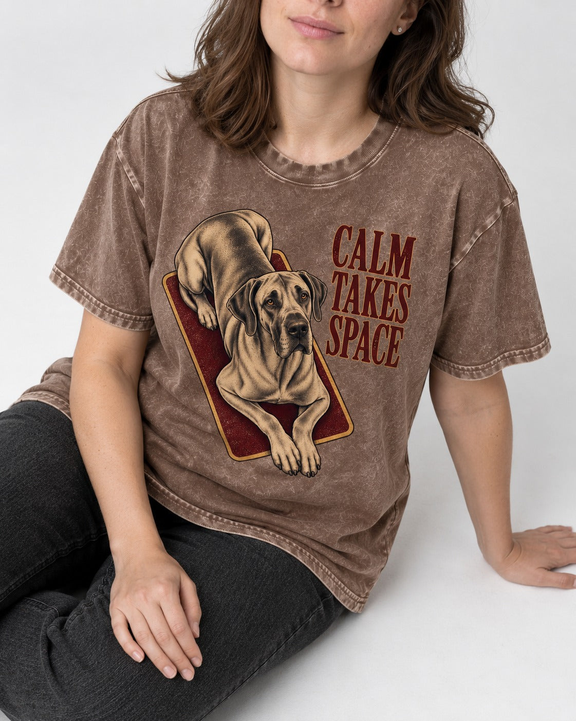 Great Dane Calm Takes Space Washed Tee in Coffee, worn by a seated model