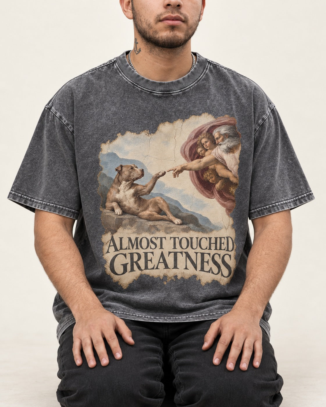 Pitbull Almost Touched Greatness Creation Parody Graphic Washed Tee in Gray, worn by a seated model