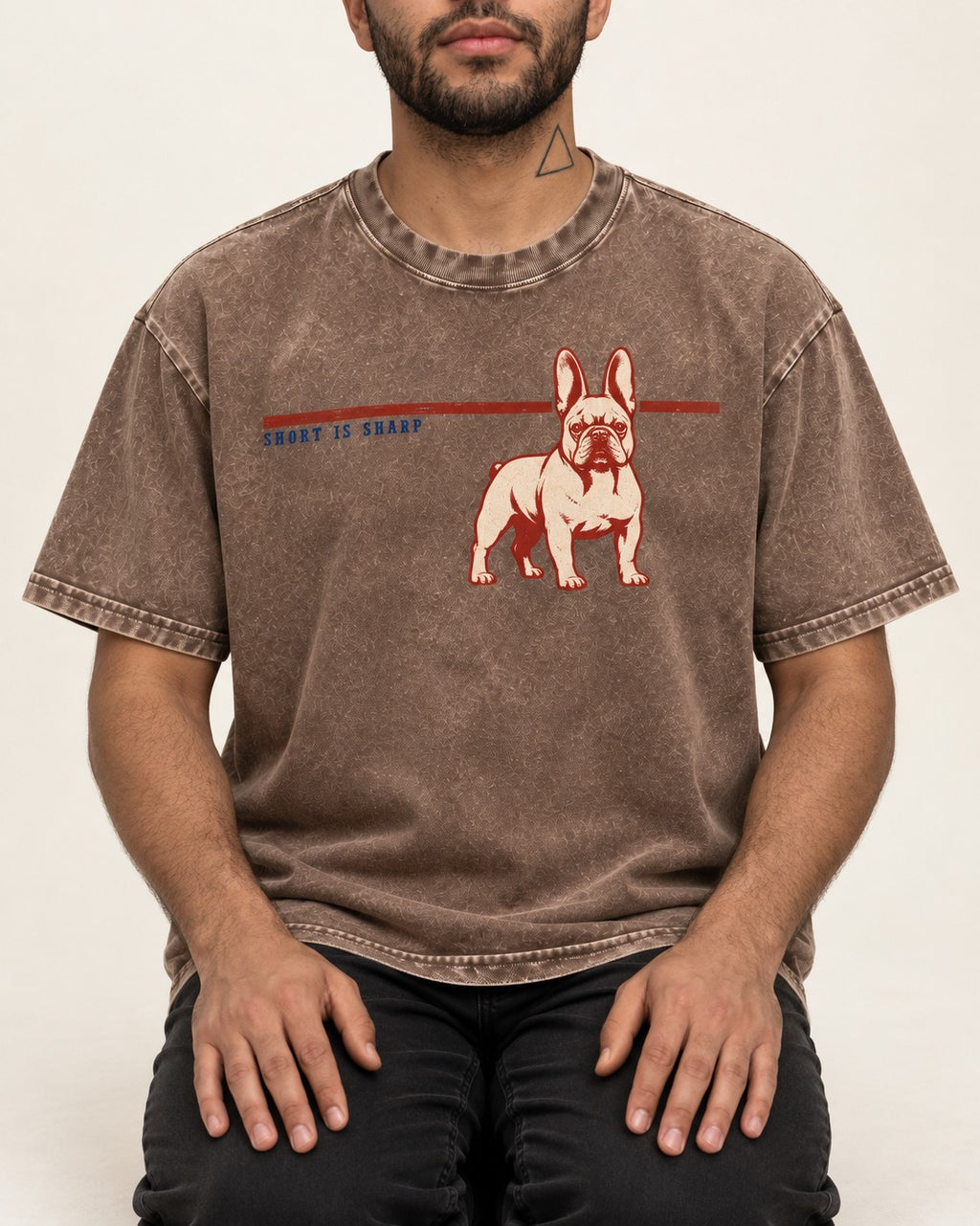 Short Is Sharp Frenchie Washed Tee in Coffee, worn by a seated model