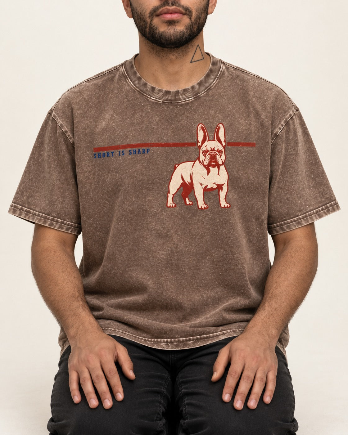 Short Is Sharp Frenchie Washed Tee in Coffee, worn by a seated model