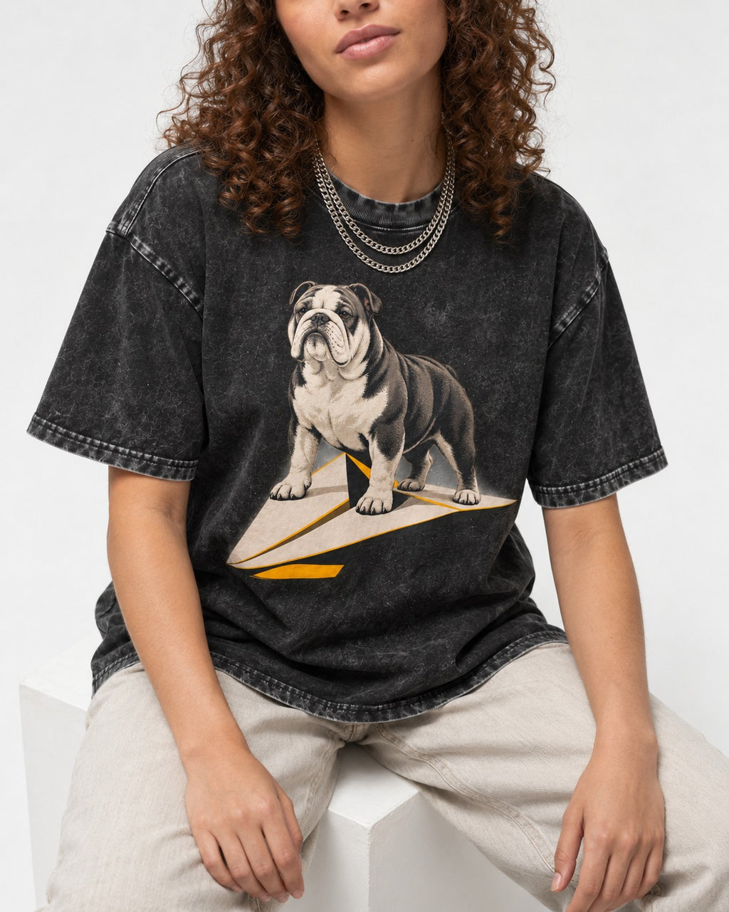 English Bulldog Paper Airplane Graphic Washed Tee in Black, worn by a seated model