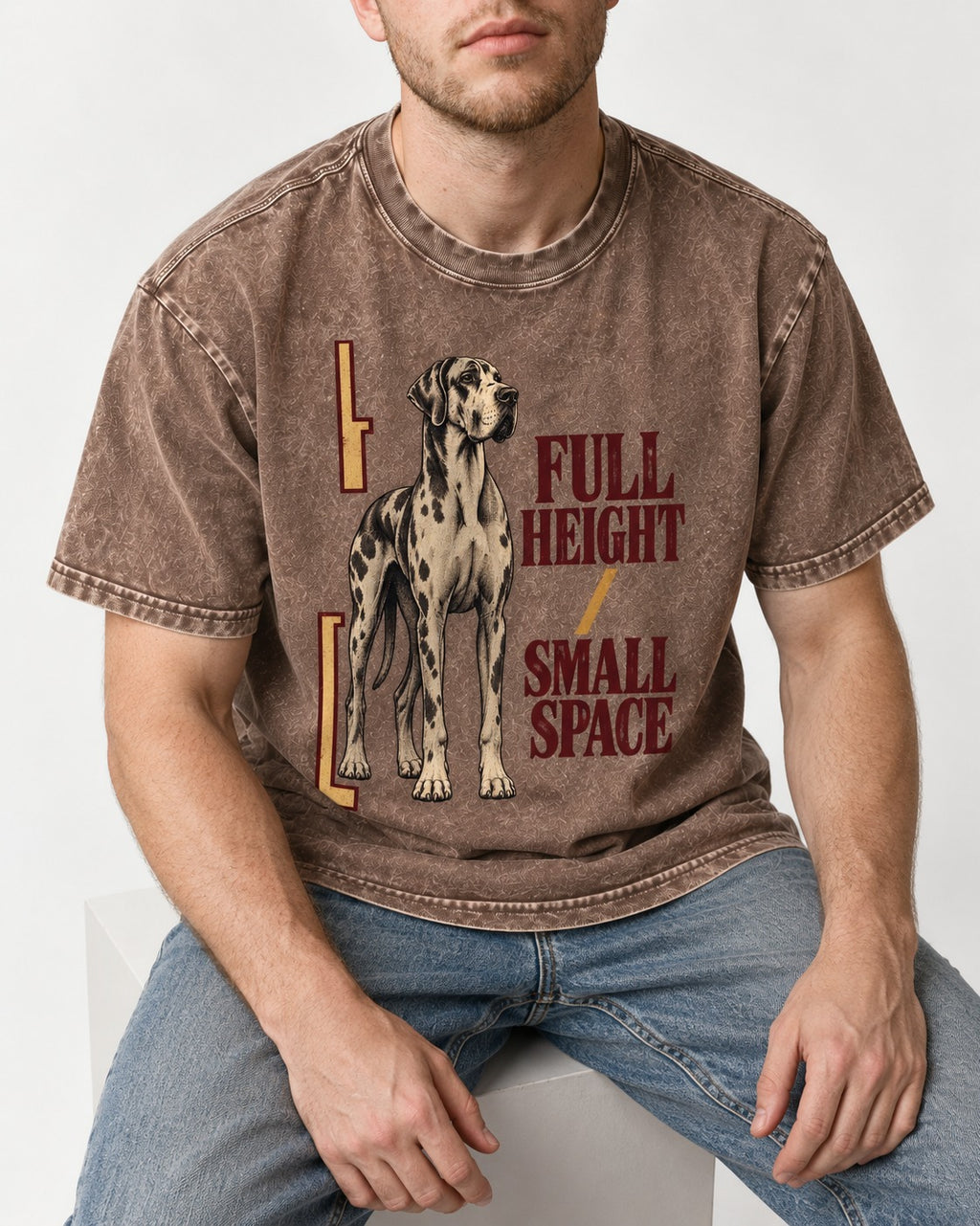 Great Dane Full Height Small Space Washed Tee in Coffee, worn by a seated model