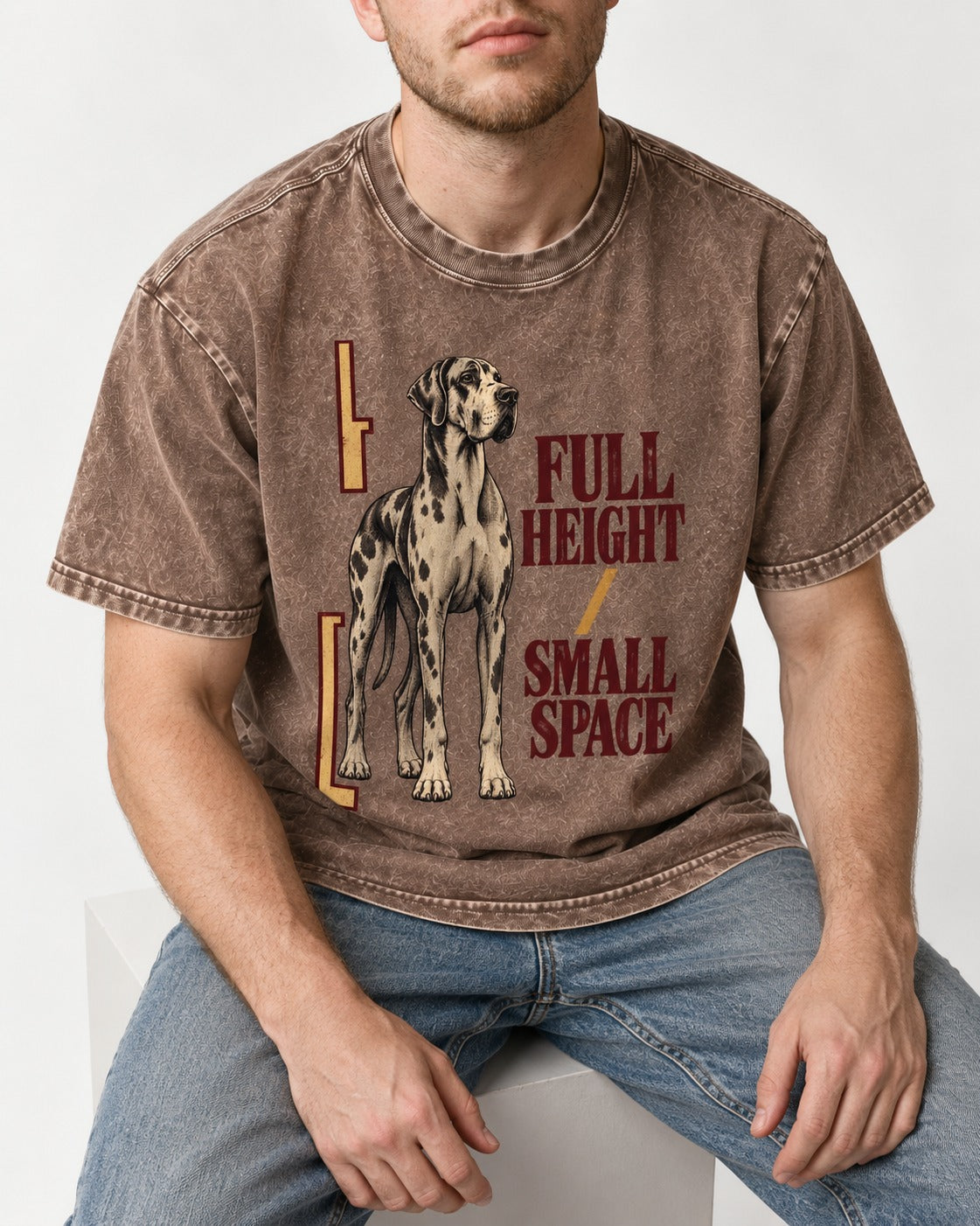 Great Dane Full Height Small Space Washed Tee in Coffee, worn by a seated model