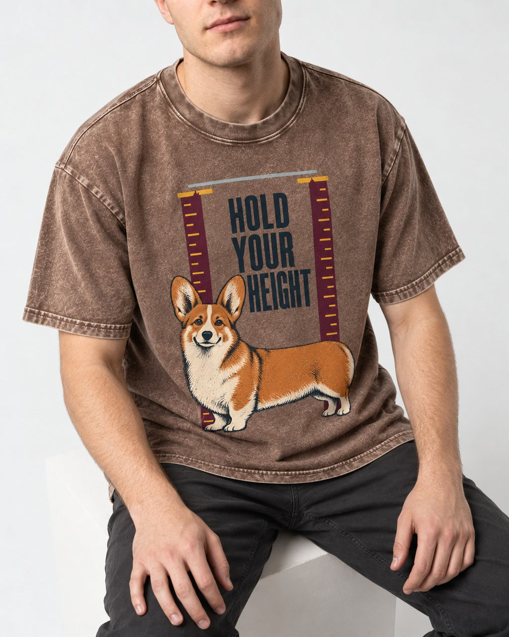 Corgi Hold Your Height Washed Tee in Coffee, worn by a seated model