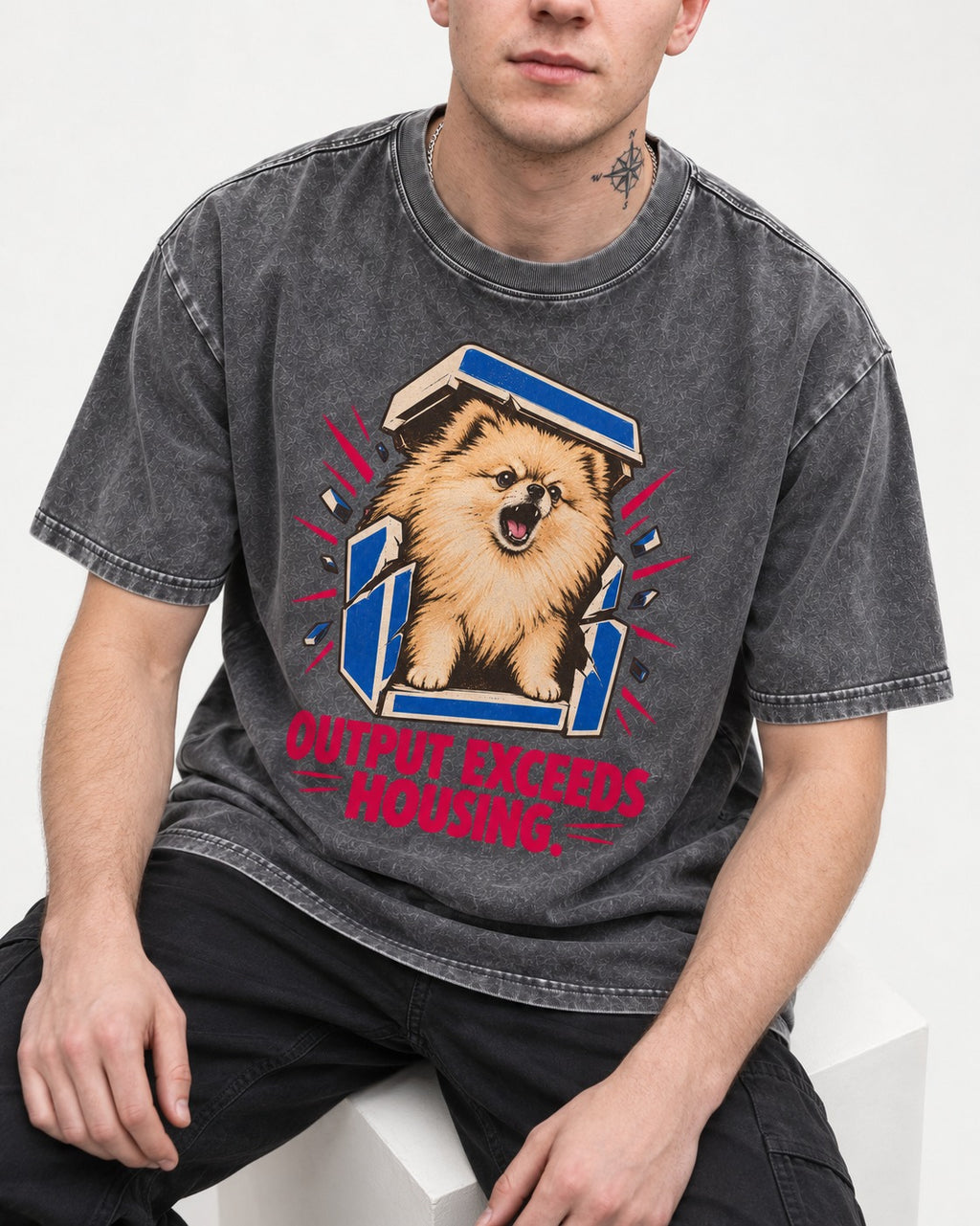 Pomeranian Output Exceeds Housing Bark Compression Graphic Washed Tee in Gray, worn by a seated model