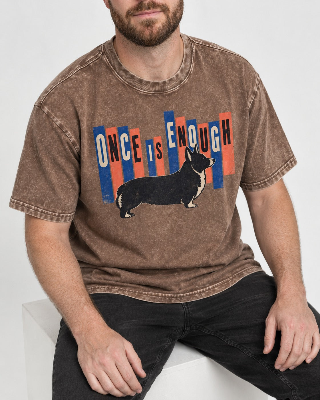 Corgi Once Is Enough Washed Tee in Coffee, worn by a seated model