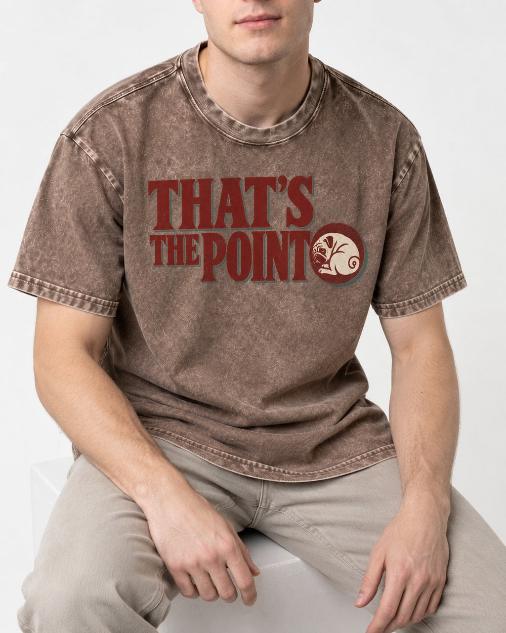 Pug's the Point Washed Tee in Coffee, worn by a seated model
