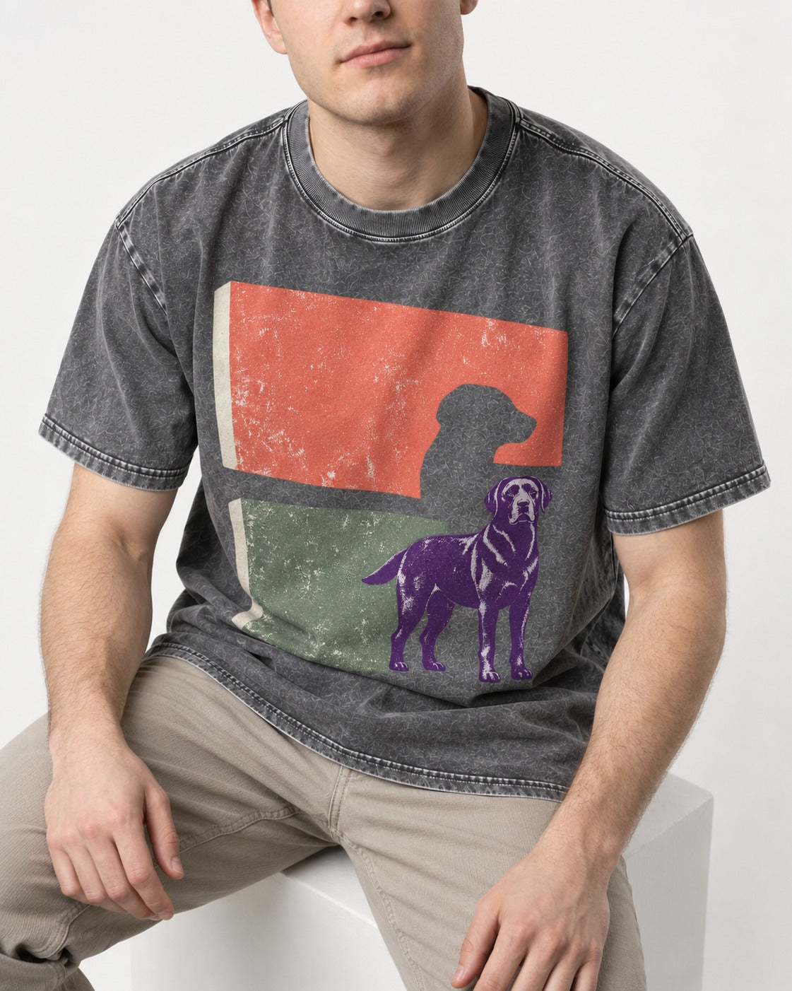 Labrador Retriever Field Test Brutalist Panels Graphic Washed Tee in Gray, worn by a seated model