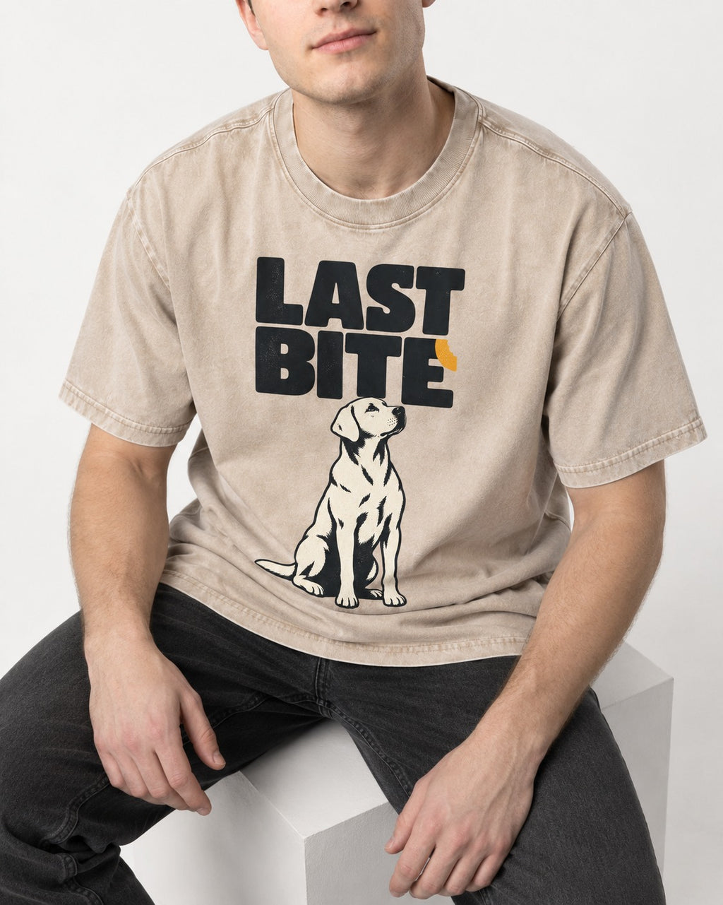 Labrador Retriever's Last Bite Washed Tee in Apricot, worn by a seated model