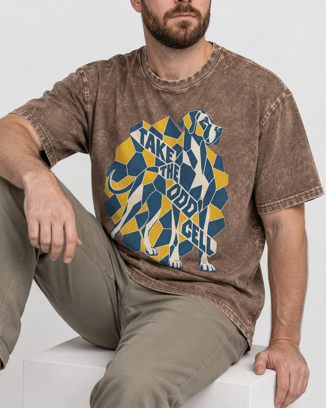 Take the Odd Cell Great Dane Washed Tee in Coffee, worn by a seated model