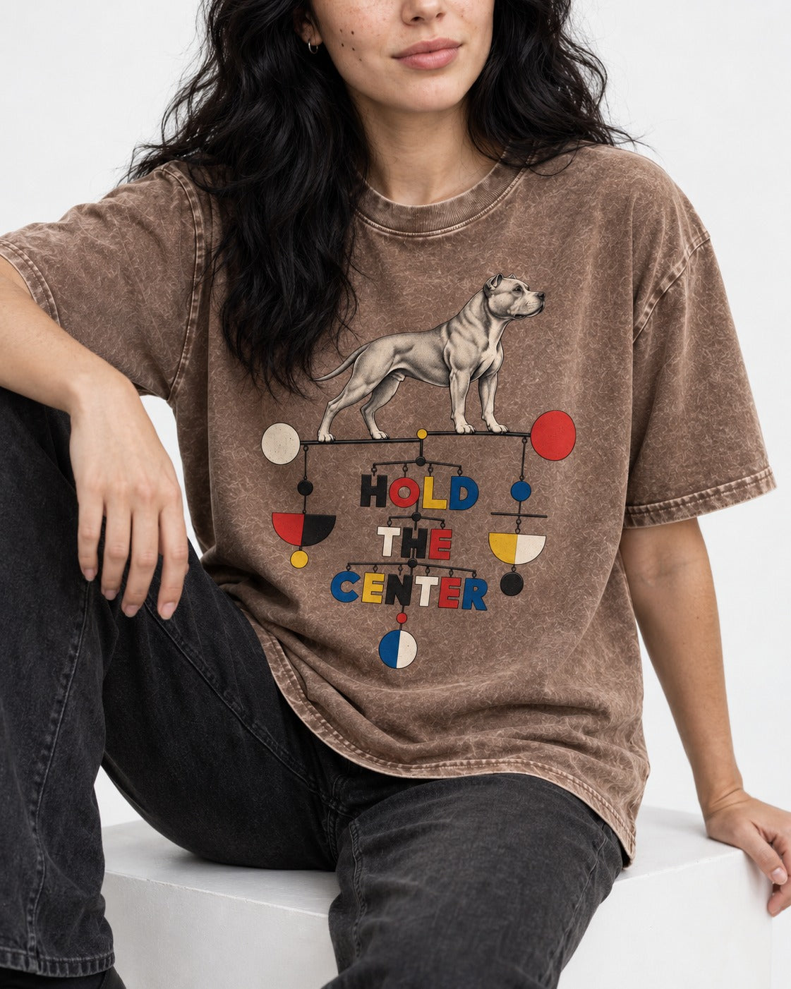 Pitbull Hold the Center Balance Mobile Graphic Washed Tee in Coffee, worn by a seated model