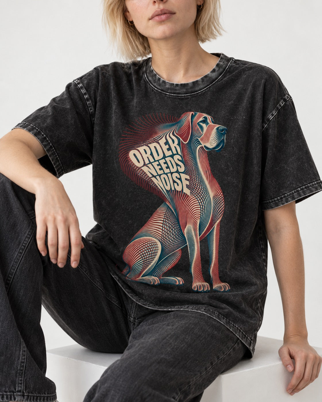 Great Dane Order Needs Noise Optical Line Graphic Washed Tee in Black, worn by a seated model