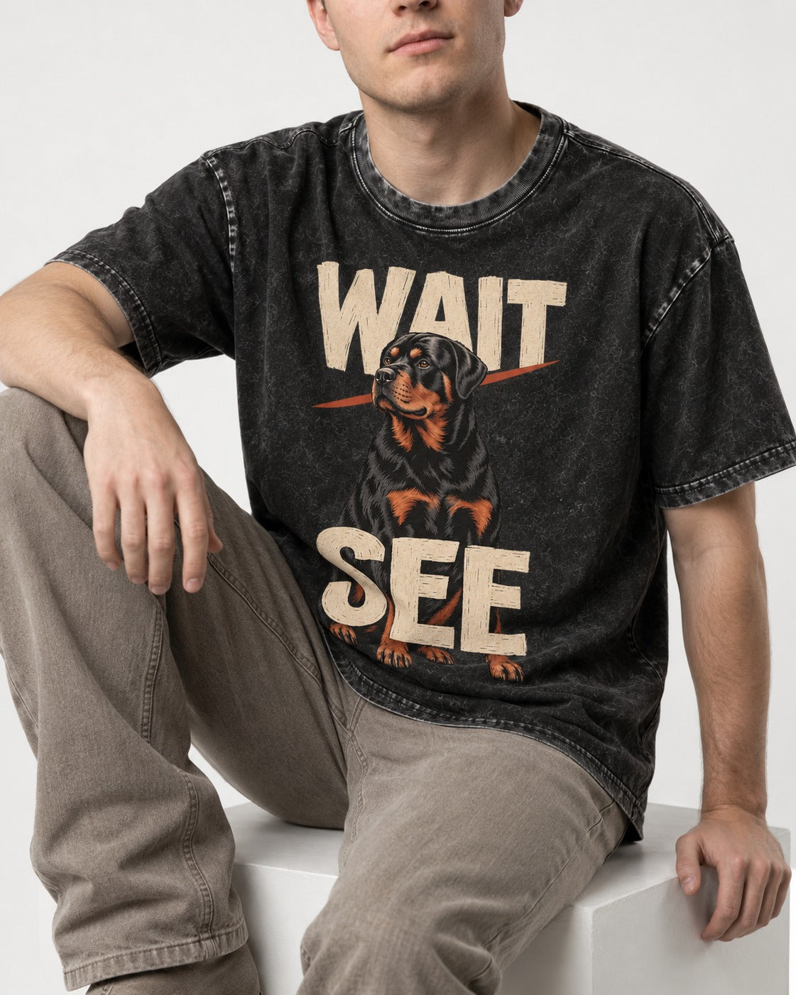 Wait See Rottweiler Seated Slash Graphic Washed Tee in Black, worn by a seated model