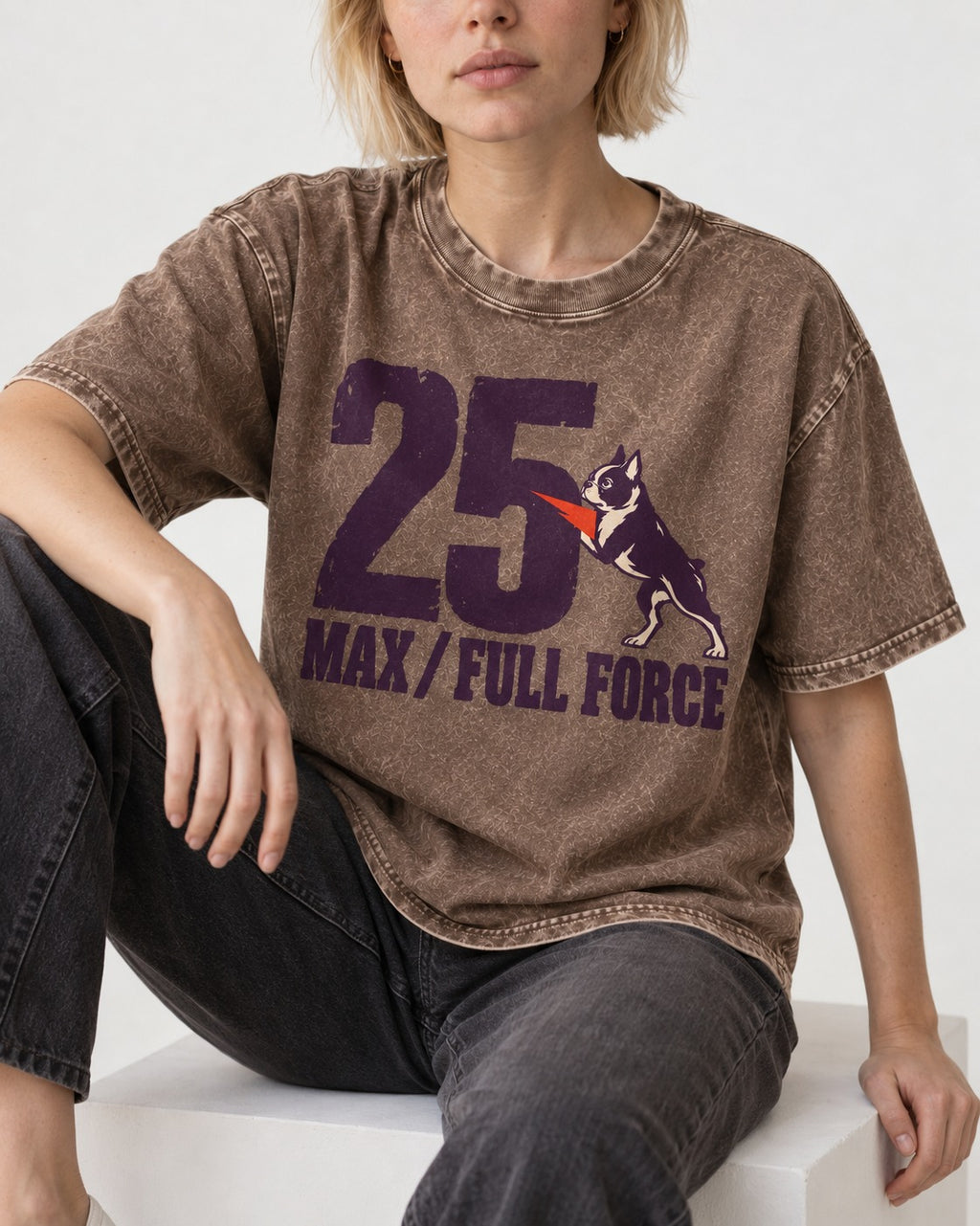 Boston Terrier Full Force Washed Tee in Coffee, worn by a seated model