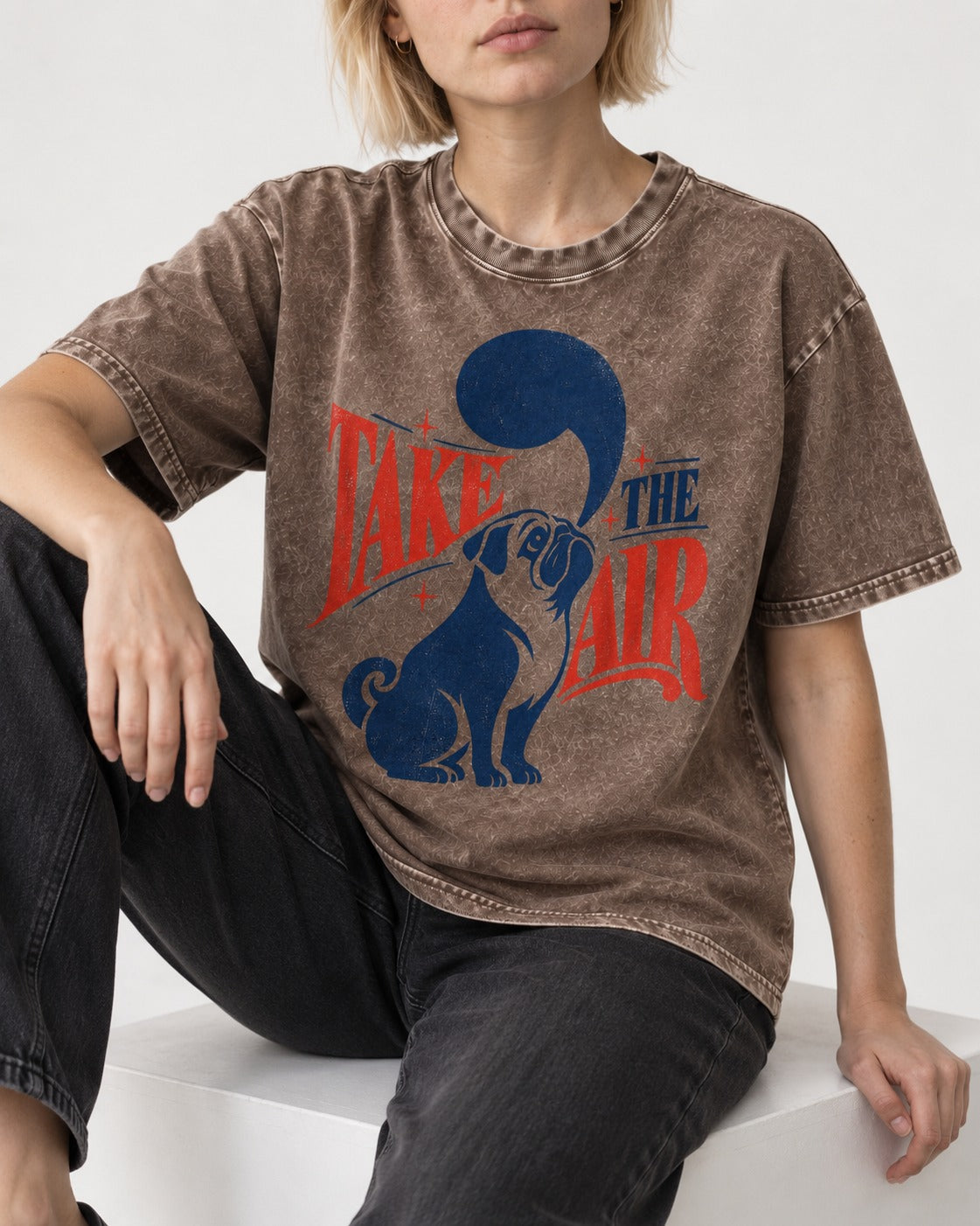 Pug Take the Air Washed Tee in Coffee, worn by a seated model