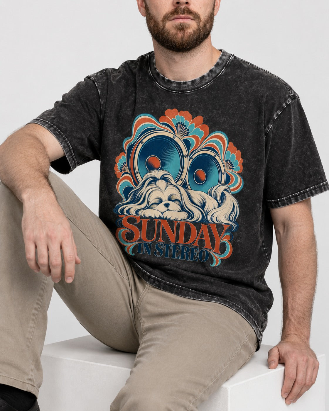 Shih Tzu Sunday in Stereo Retro Speaker Graphic Washed Tee in Black, worn by a seated model