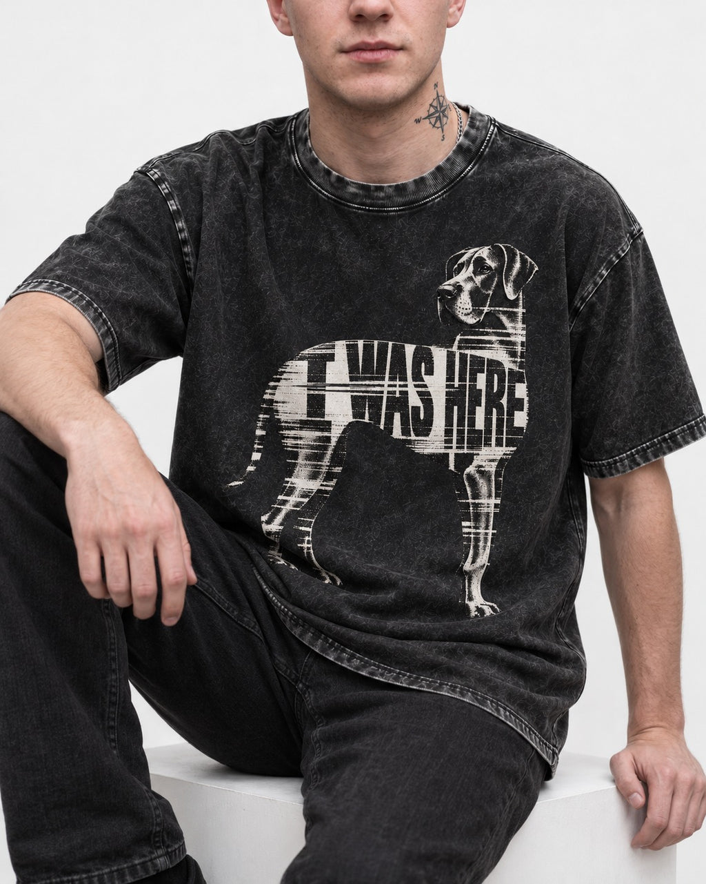 Great Dane I Was Here Plaid Silhouette Graphic Washed Tee in Black, worn by a seated model