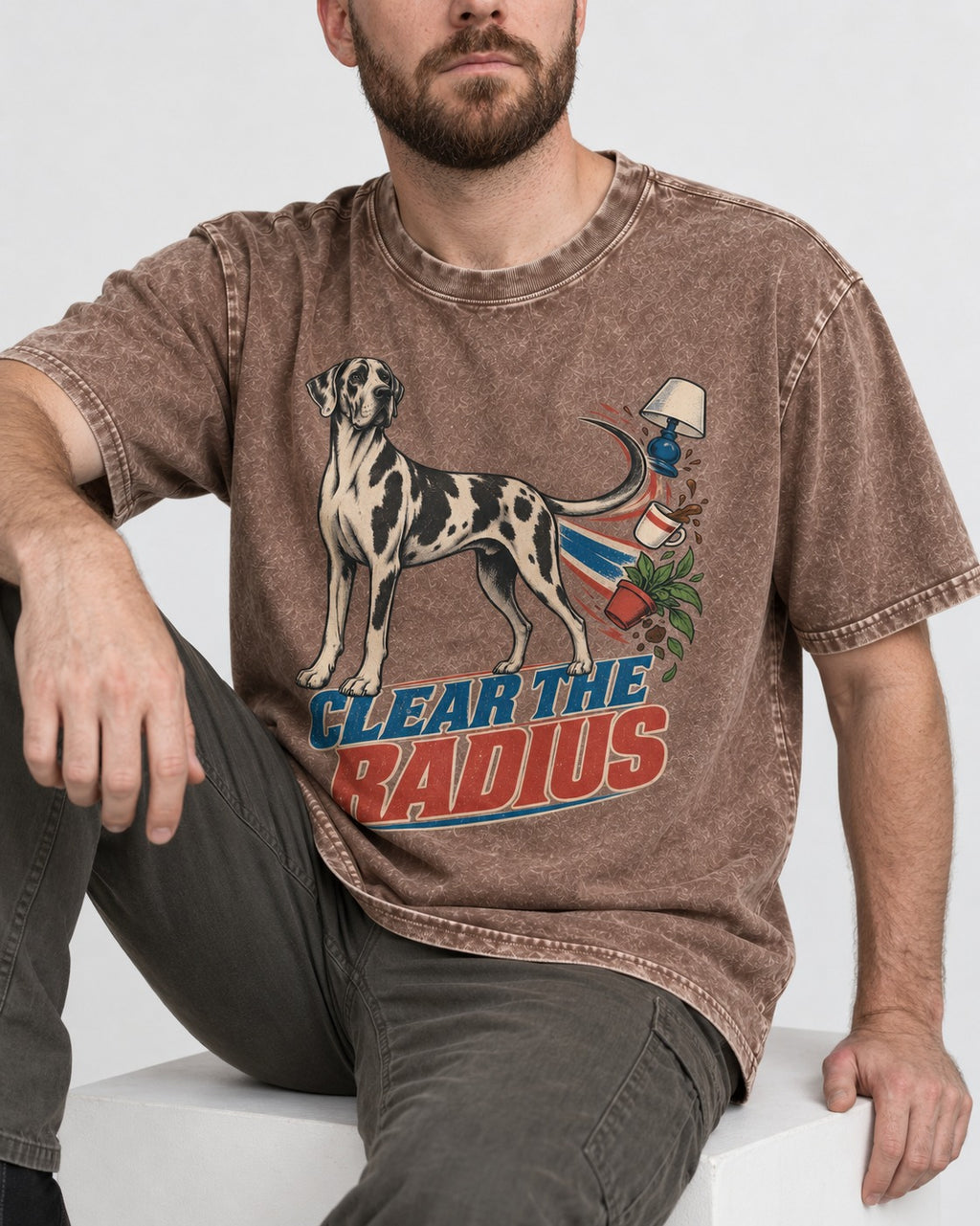 Great Dane Clear the Radius Washed Tee in Coffee, worn by a seated model