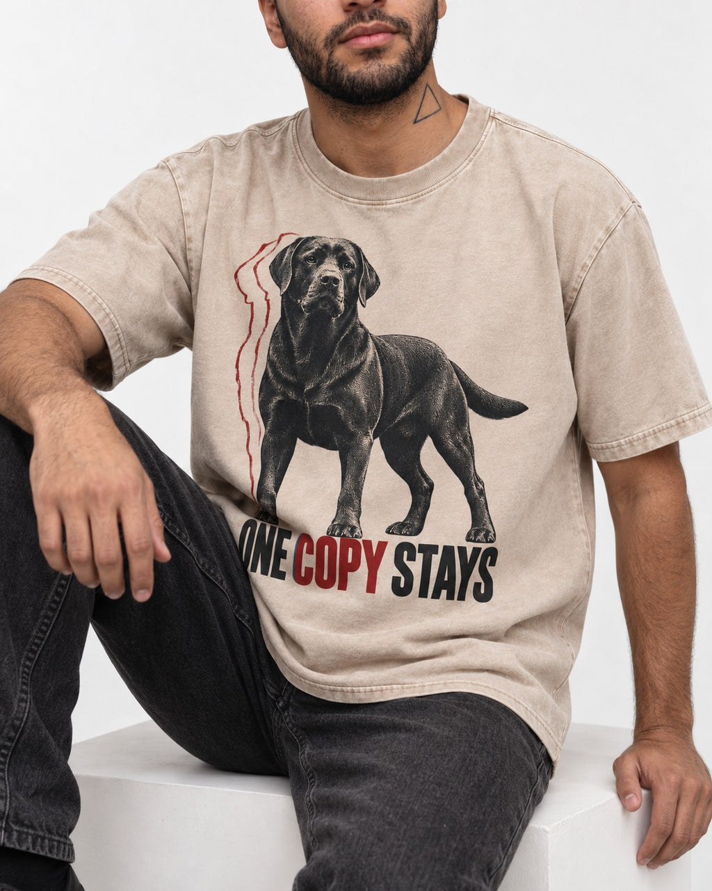 One Copy Stays Labrador Retriever Washed Tee in Apricot, worn by a seated model