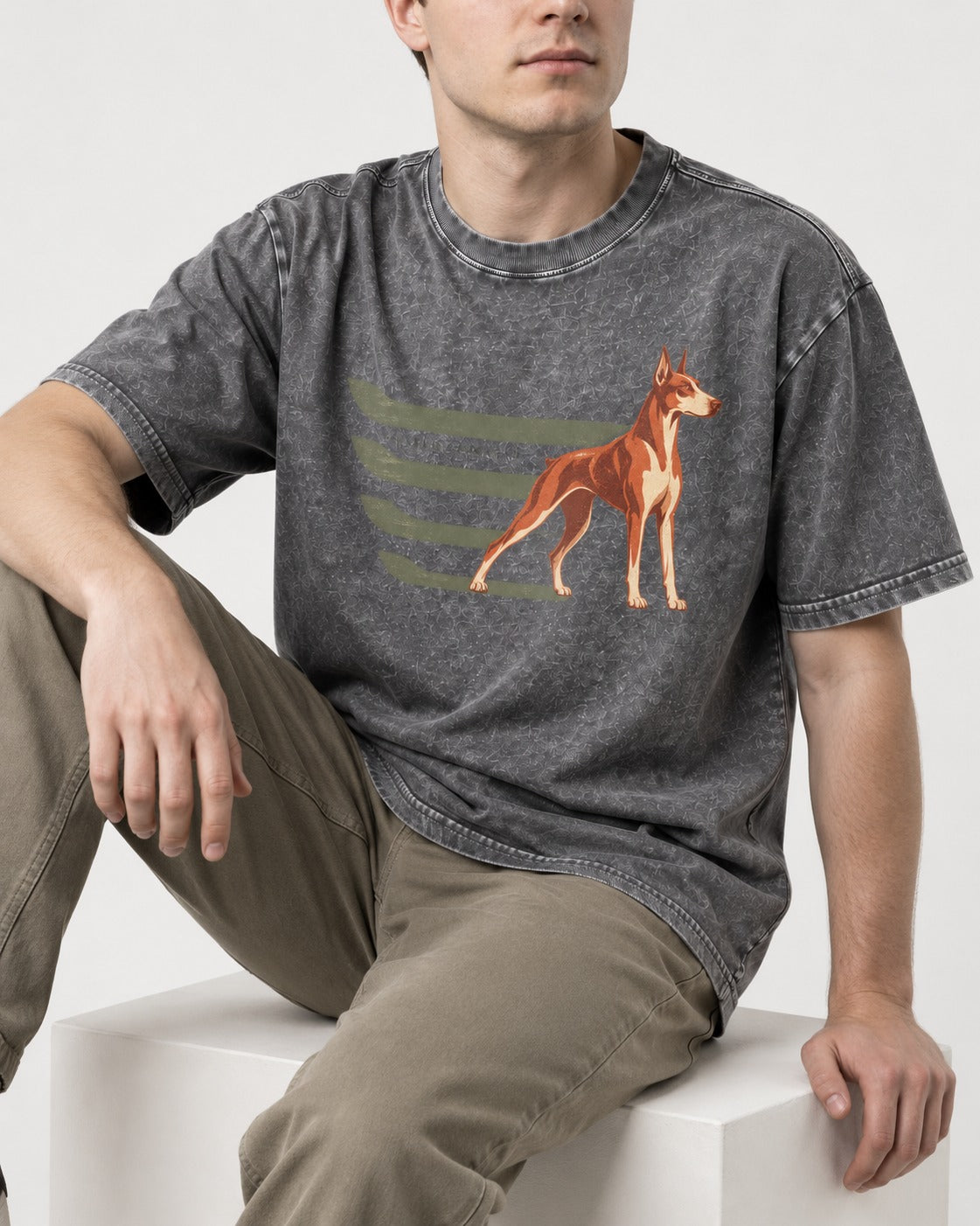 Doberman The Lean Standard Speed Bars Graphic Washed Tee in Gray, worn by a seated model