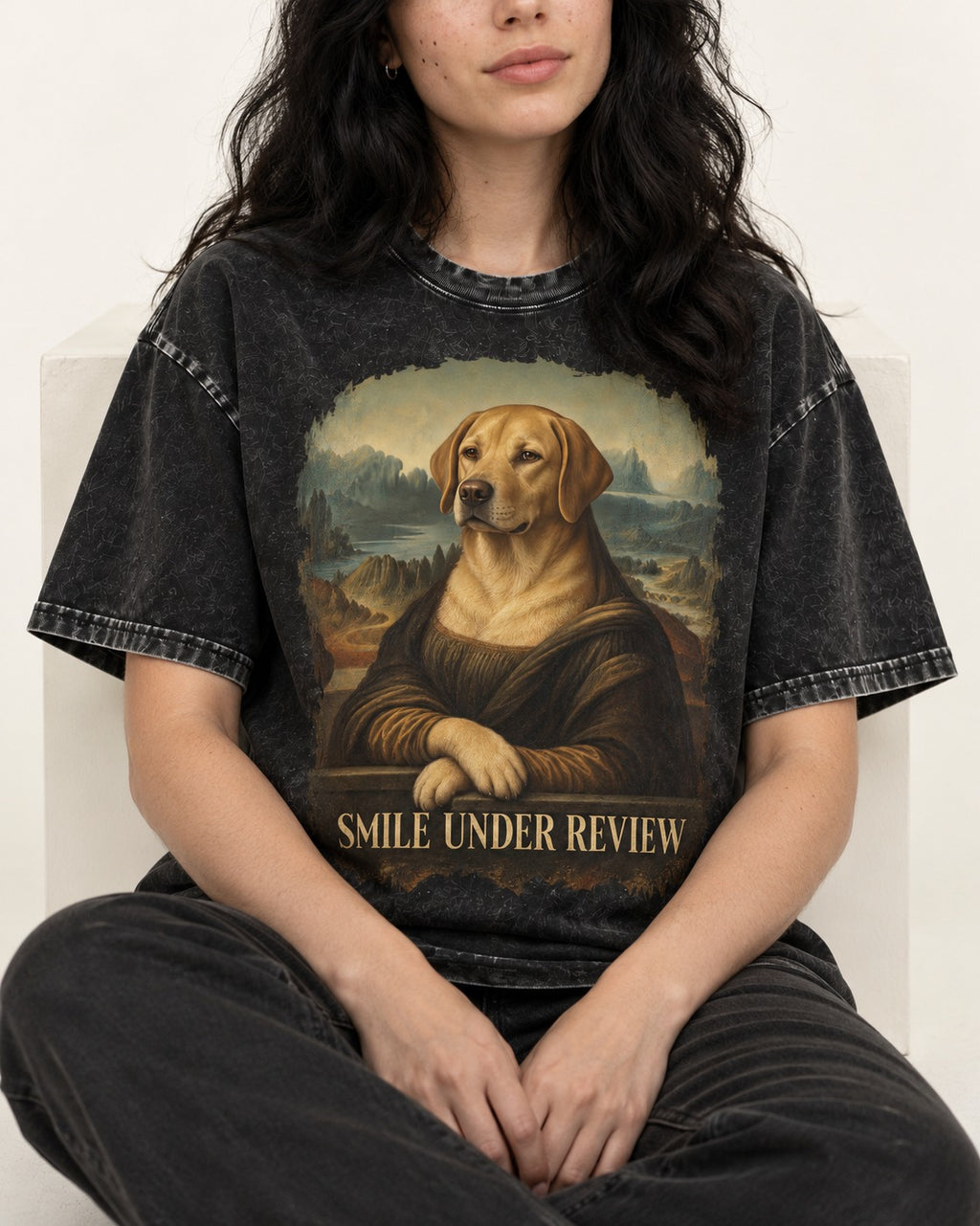 Labrador Retriever Smile Under Review Mona Lisa Graphic Washed Tee in Black, worn by a seated model