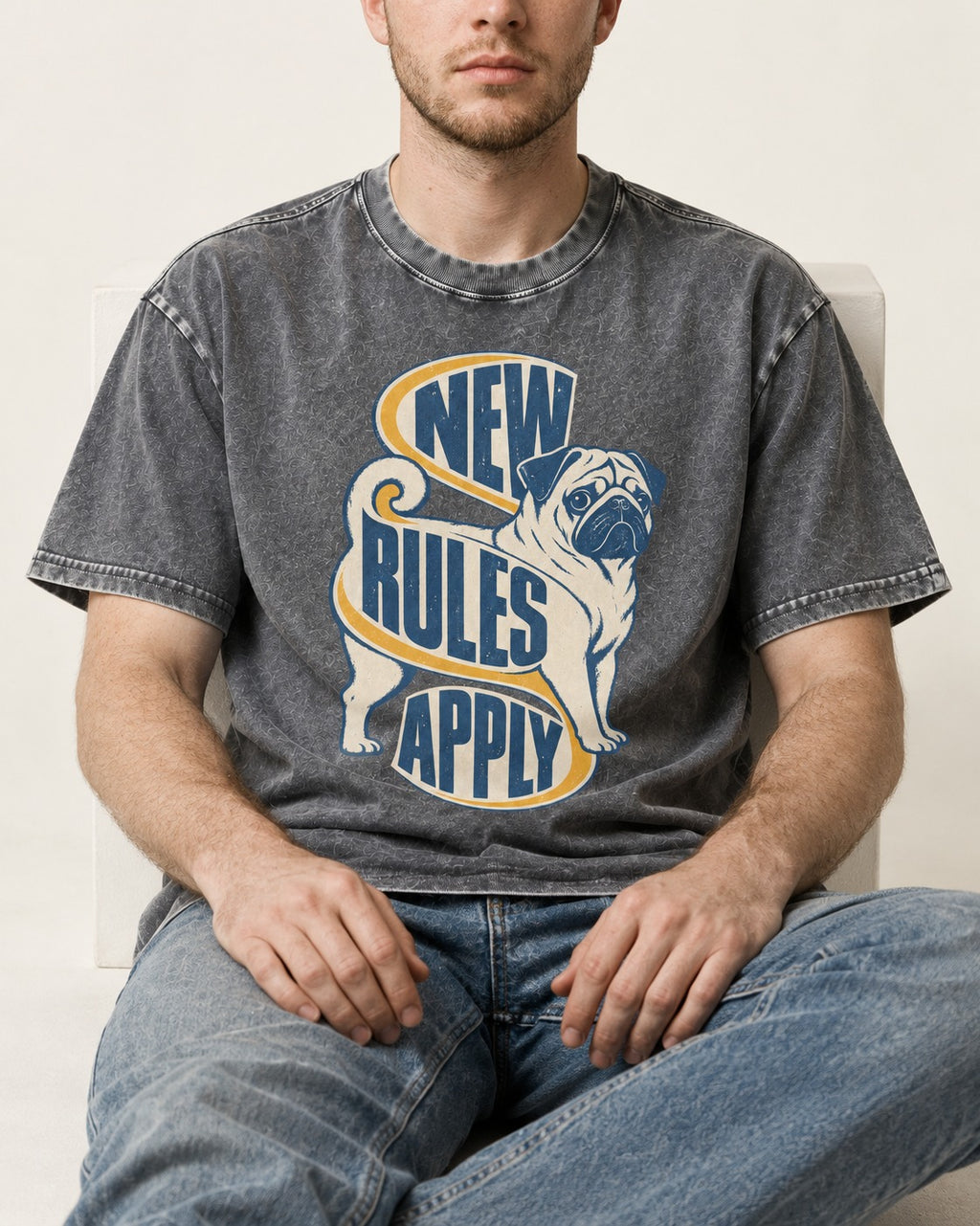Pug New Rules Apply Ribbon Graphic Washed Tee in Gray, worn by a seated model