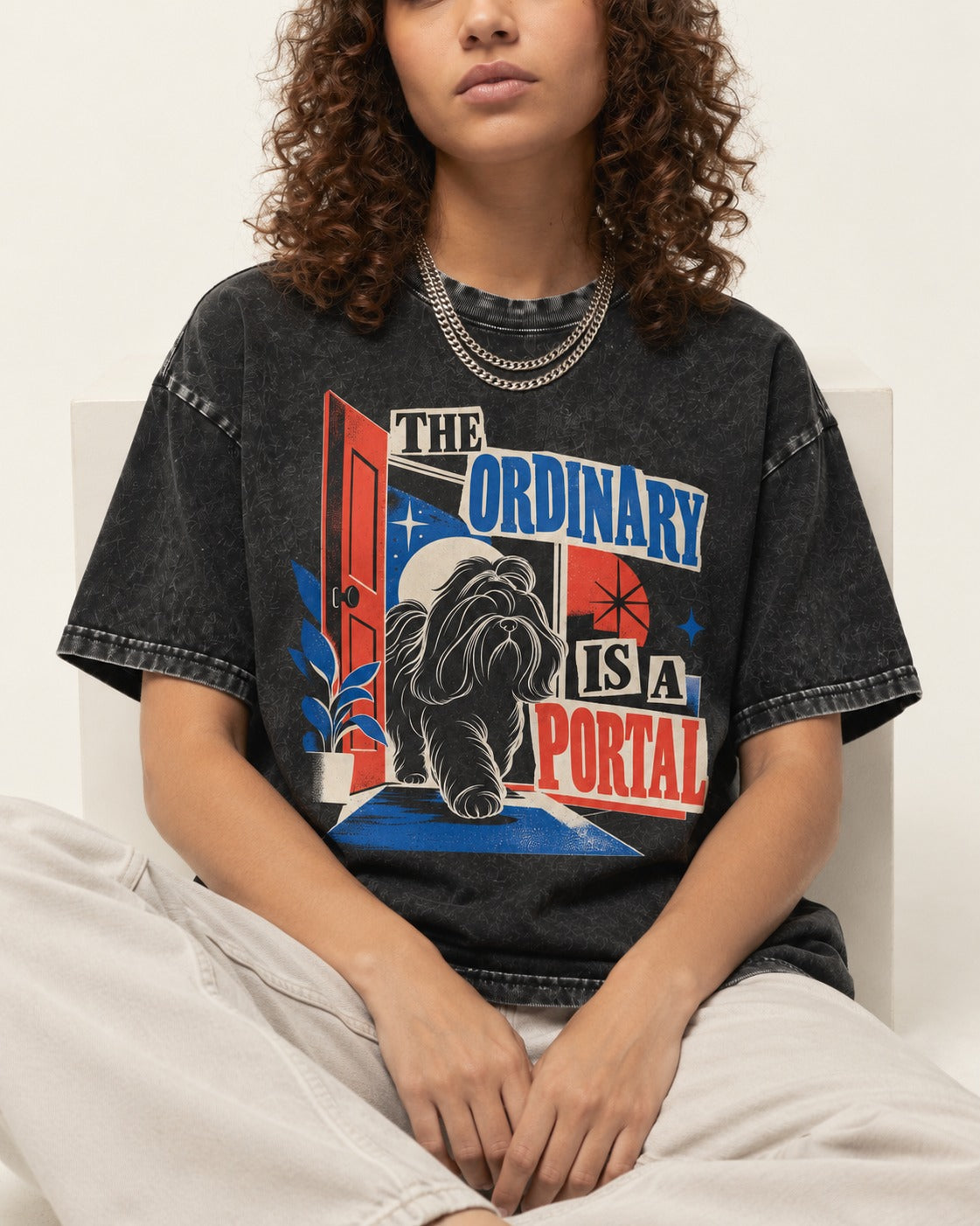 Shih Tzu The Ordinary Is a Portal Door Graphic Washed Tee in Black, worn by a seated model