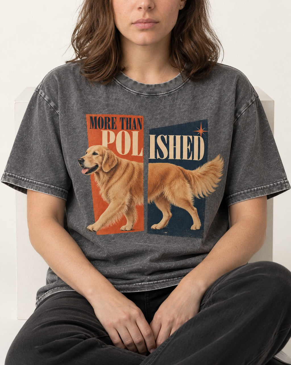 Golden Retriever More Than Polished Split Panel Graphic Washed Tee in Gray, worn by a seated model