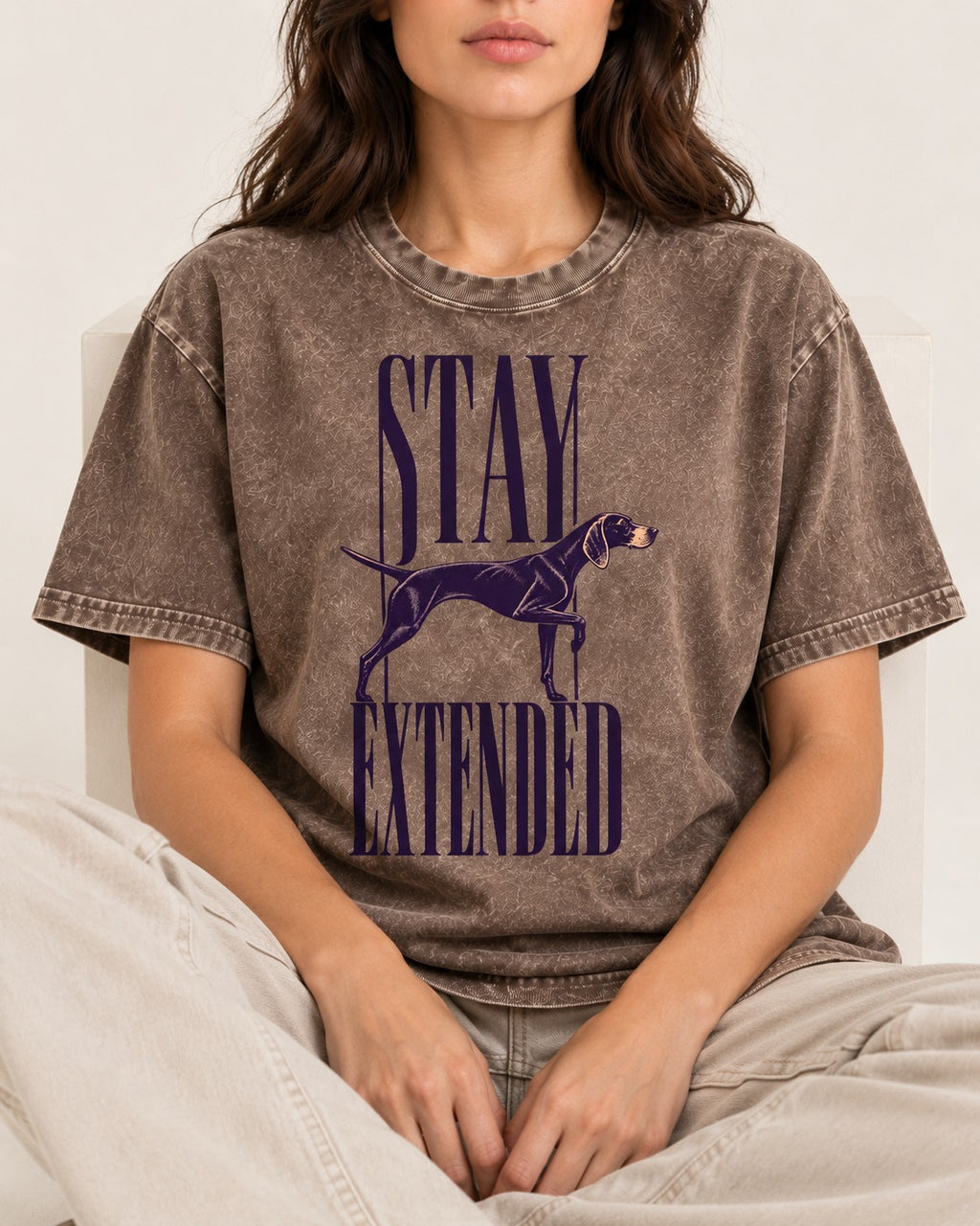 Stay Extended German Shorthaired Pointer Washed Tee in Coffee, worn by a seated model