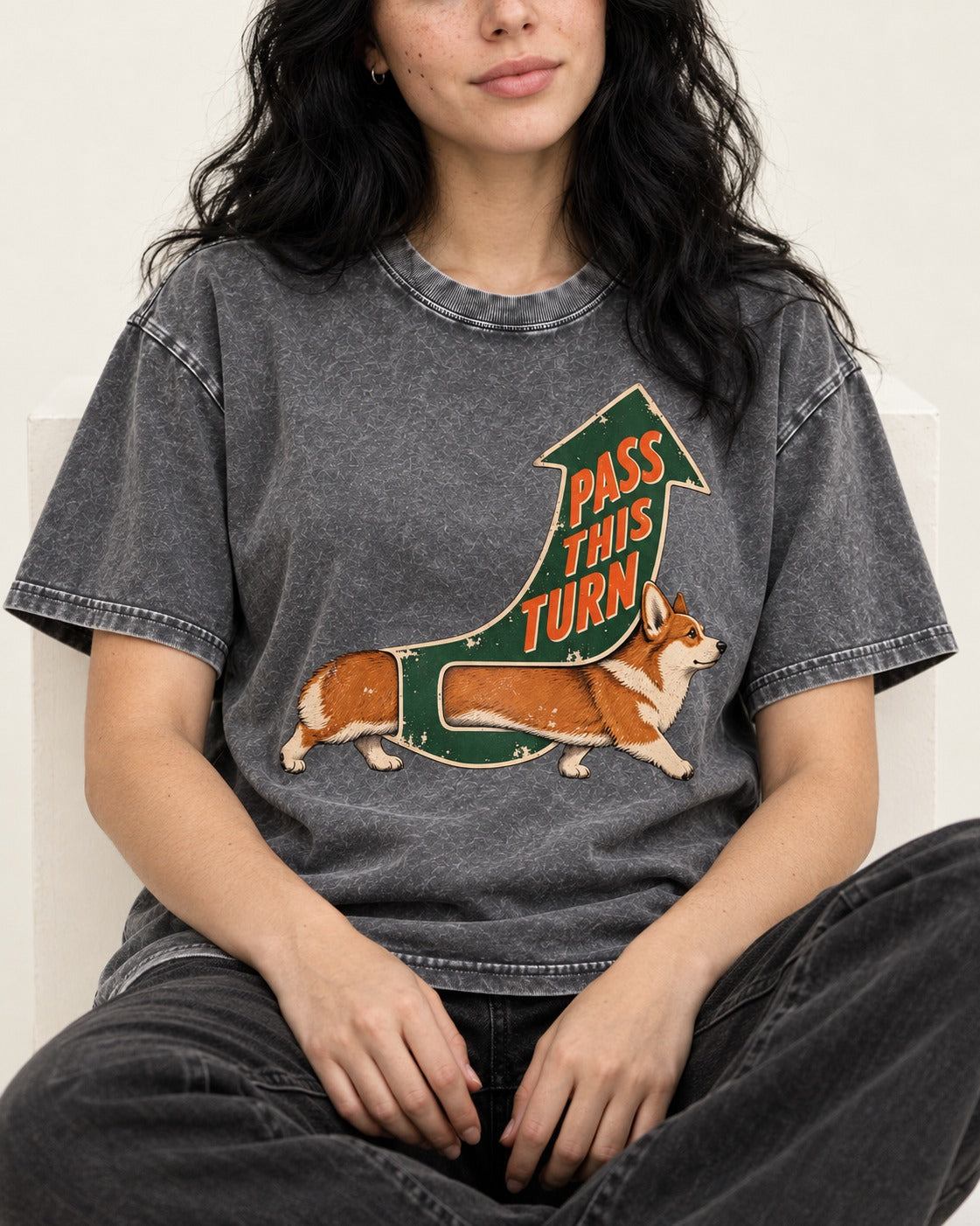 Corgi Pass This Turn Washed Tee in Gray, worn by a seated model