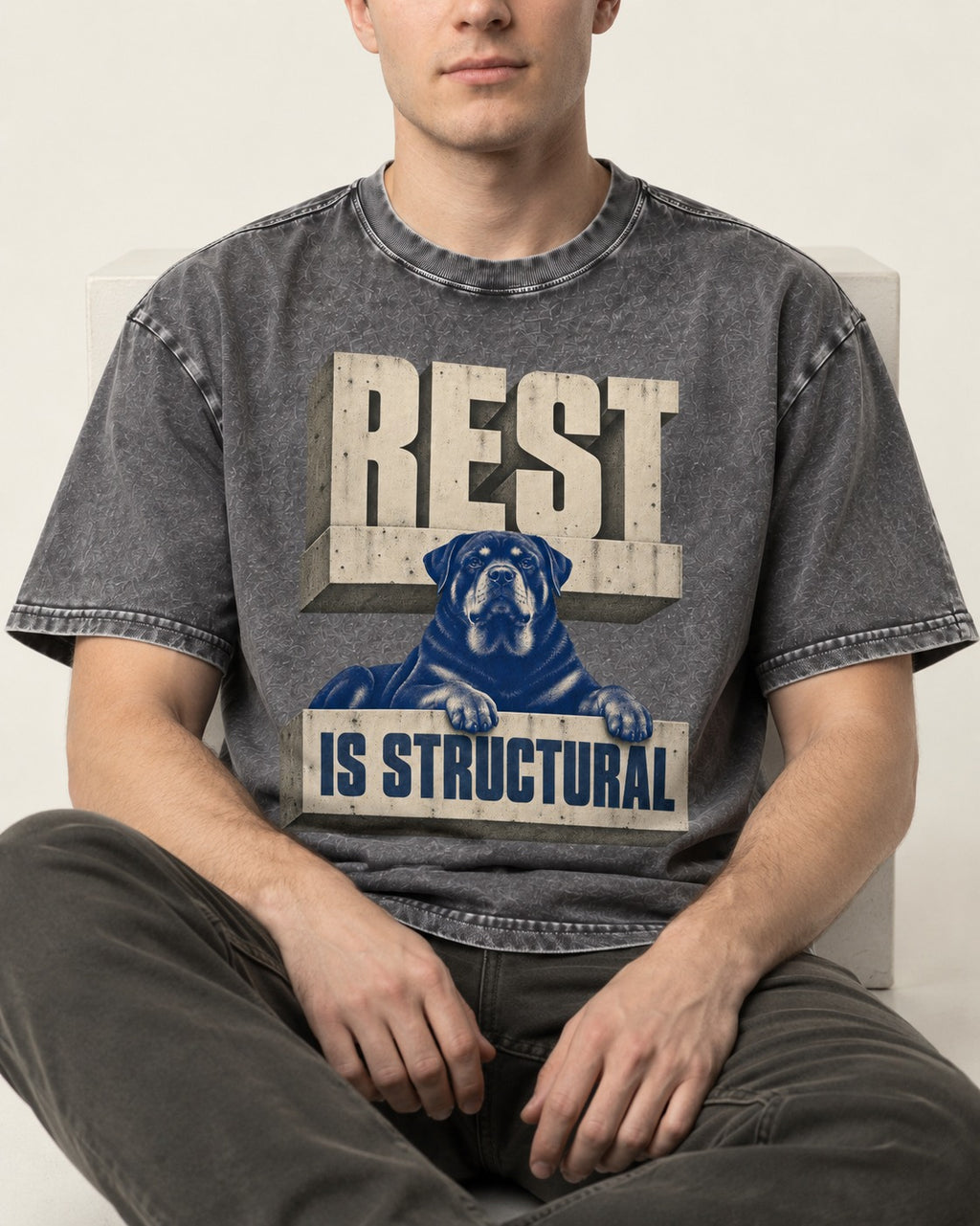 Rottweiler Rest Is Structural Architectural Type Graphic Washed Tee in Gray, worn by a seated model