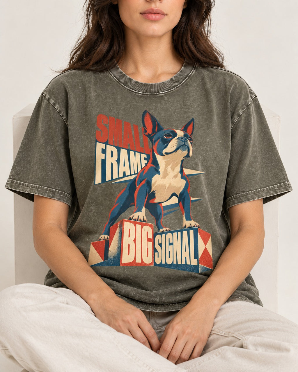 Small Frame Big Signal Boston Terrier Washed Tee in Army Green, worn by a seated model